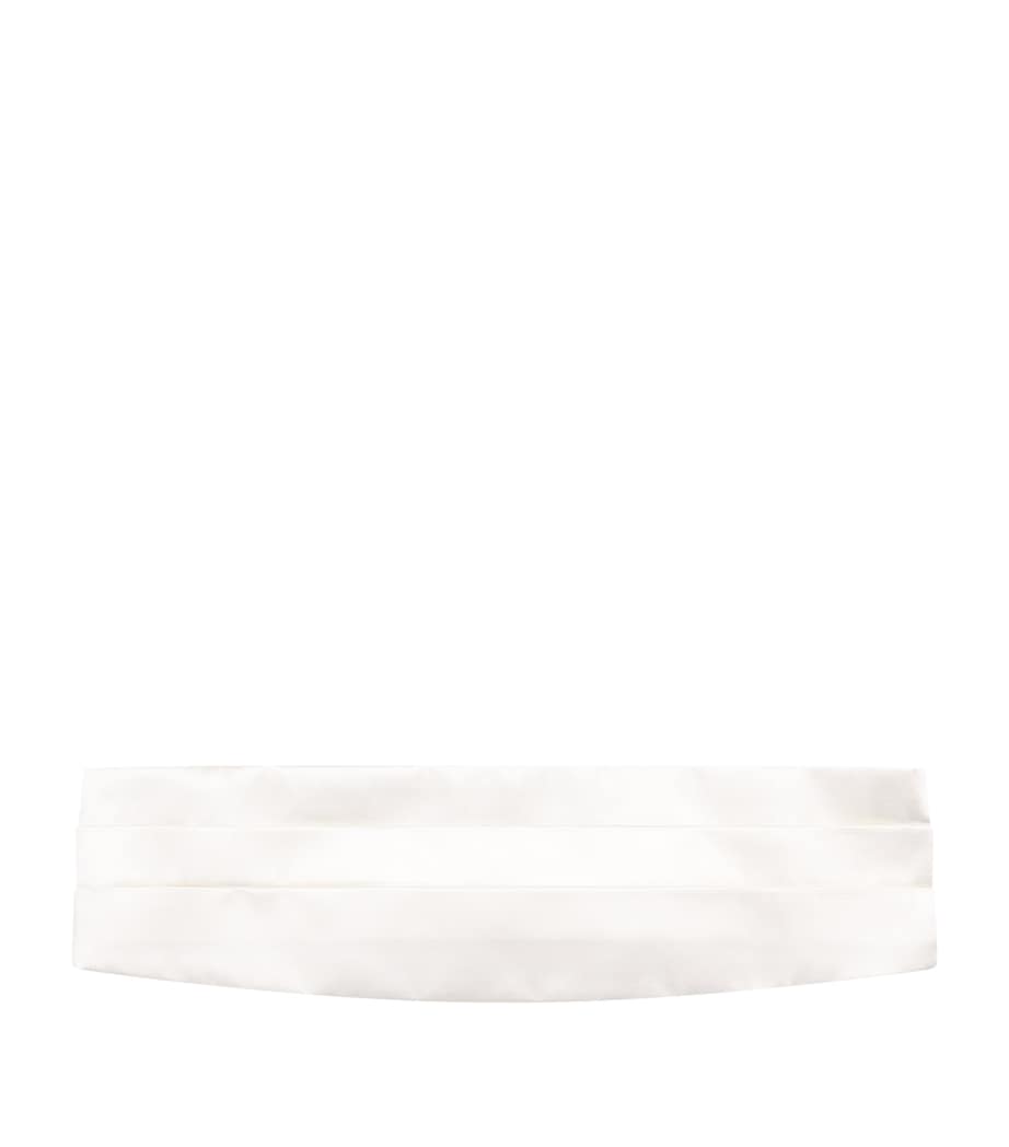 Silk Cummerbund 00010 Image 1
