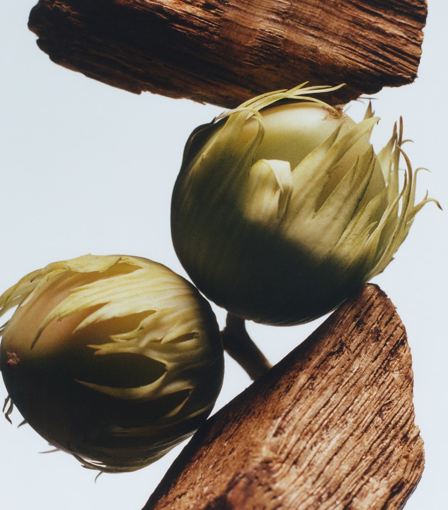 English Oak & Hazelnut Cologne NO COLOUR Image 3