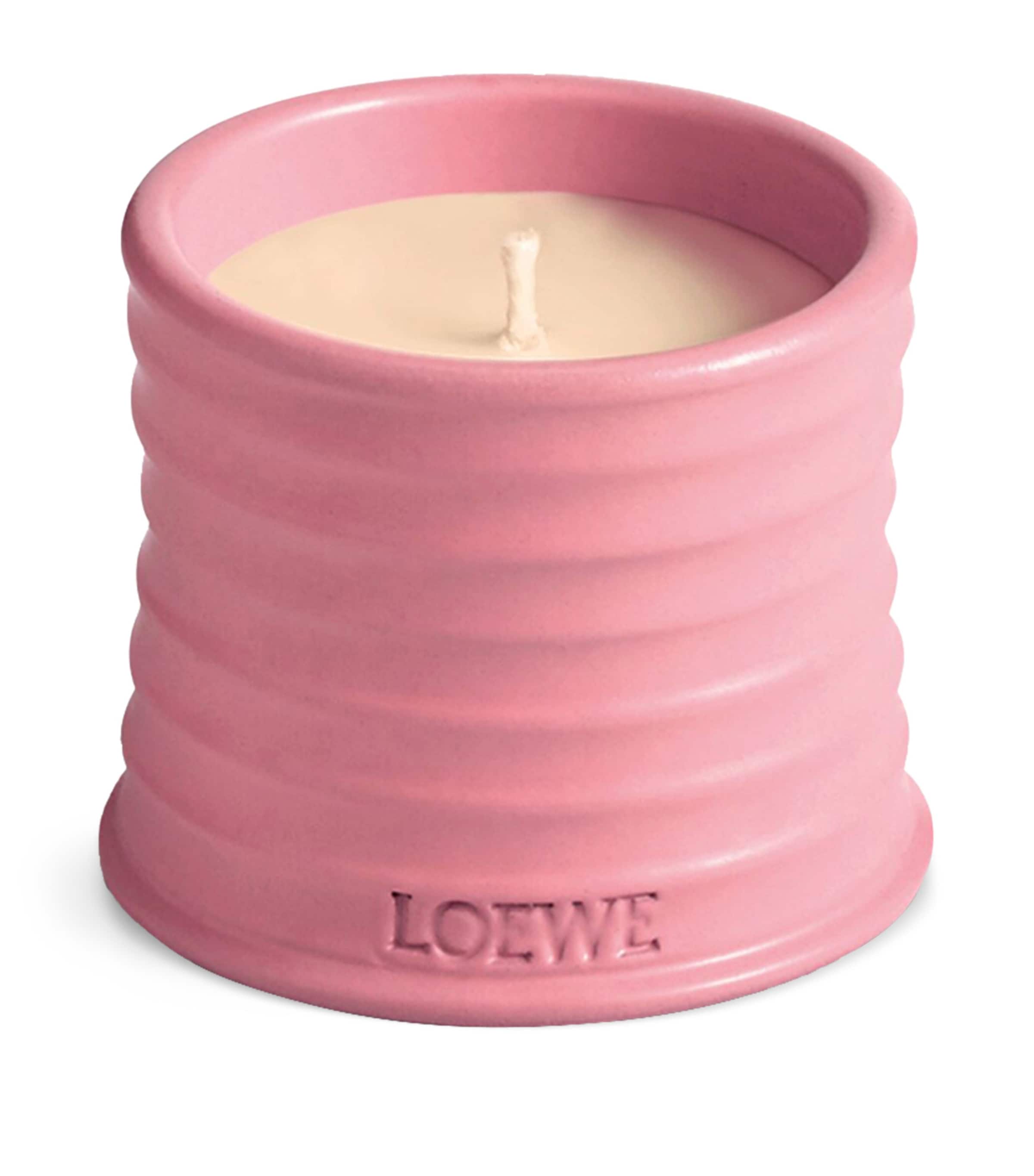 LOEWE ロエベ キャンドル　ivy LOEWE Small Ivy Scented Candle | Harrods US