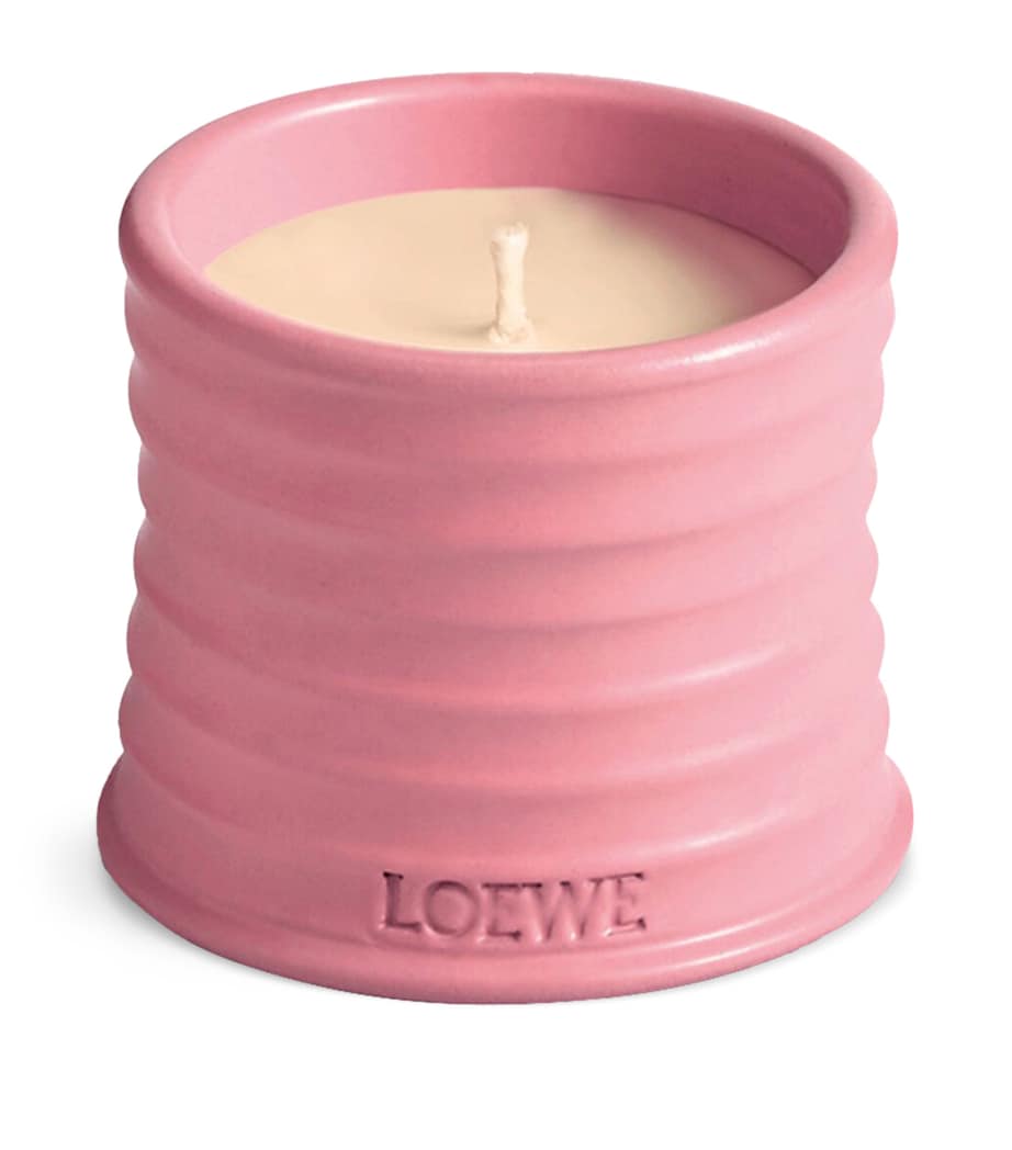Small Ivy Scented Candle NO COLOUR Image 1