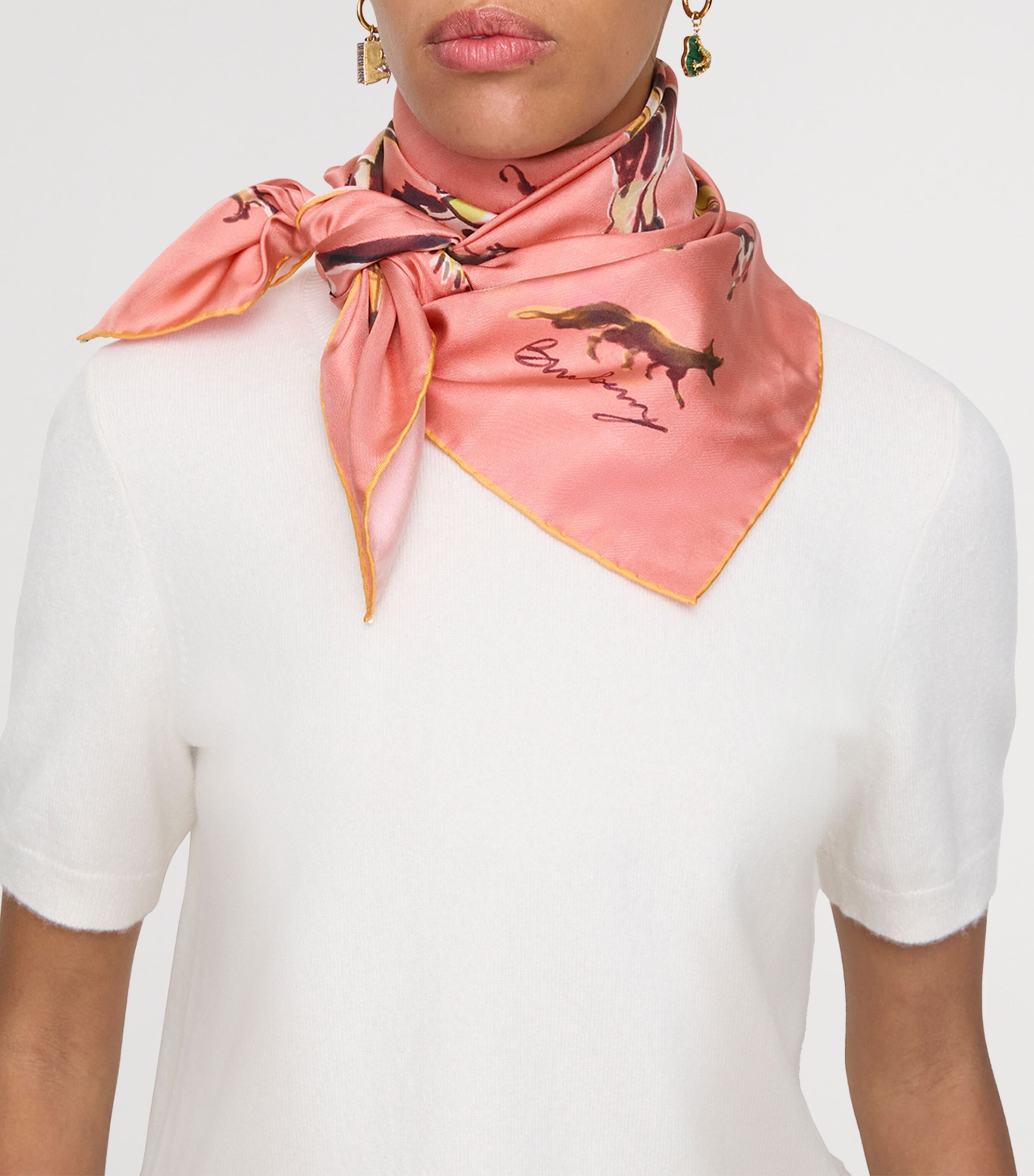 Silk Paws On Parade Scarf CONFETTI Image 2