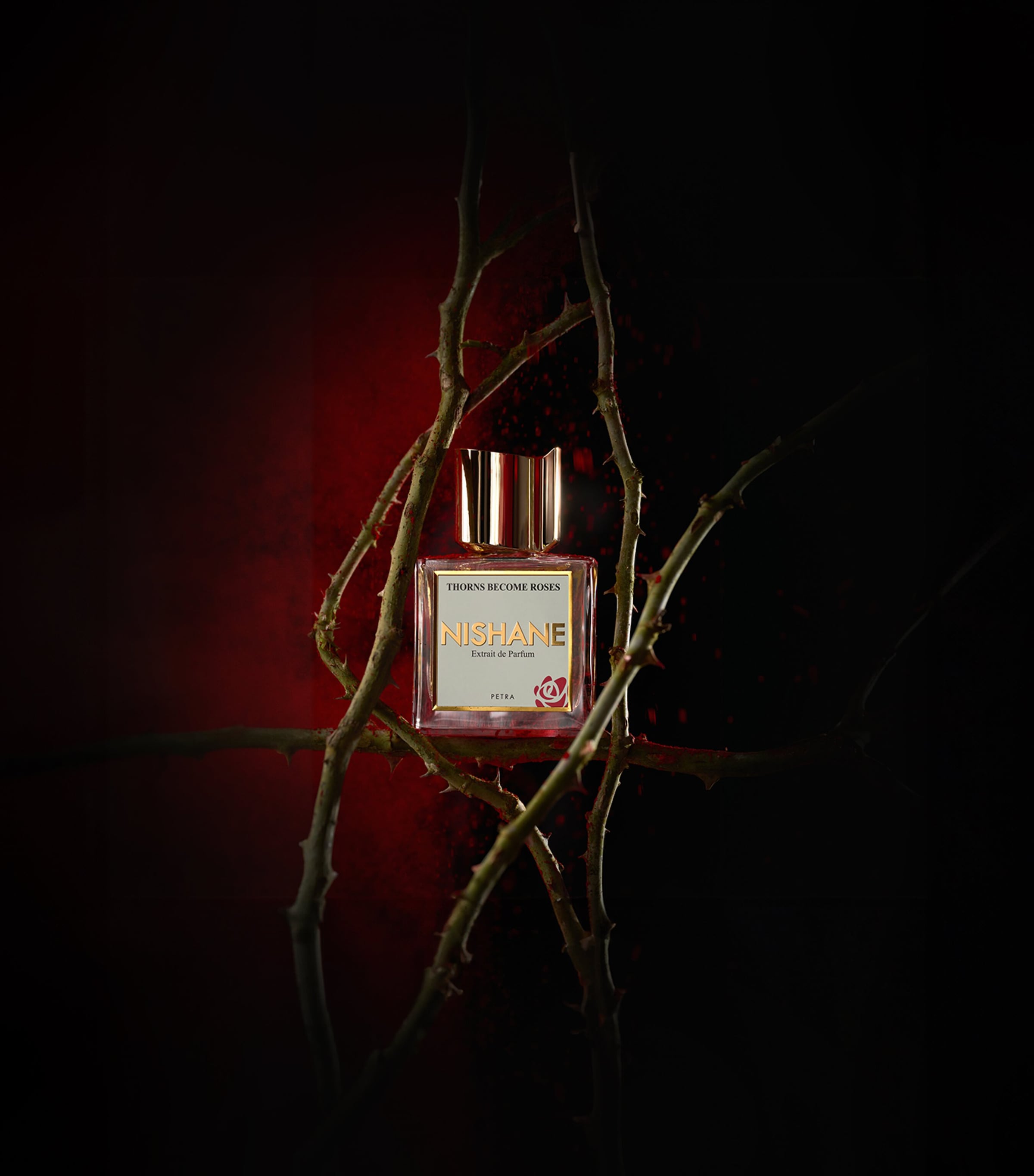 Nishane Thorns Become Roses Extrait de Parfum (100ml) Image 7