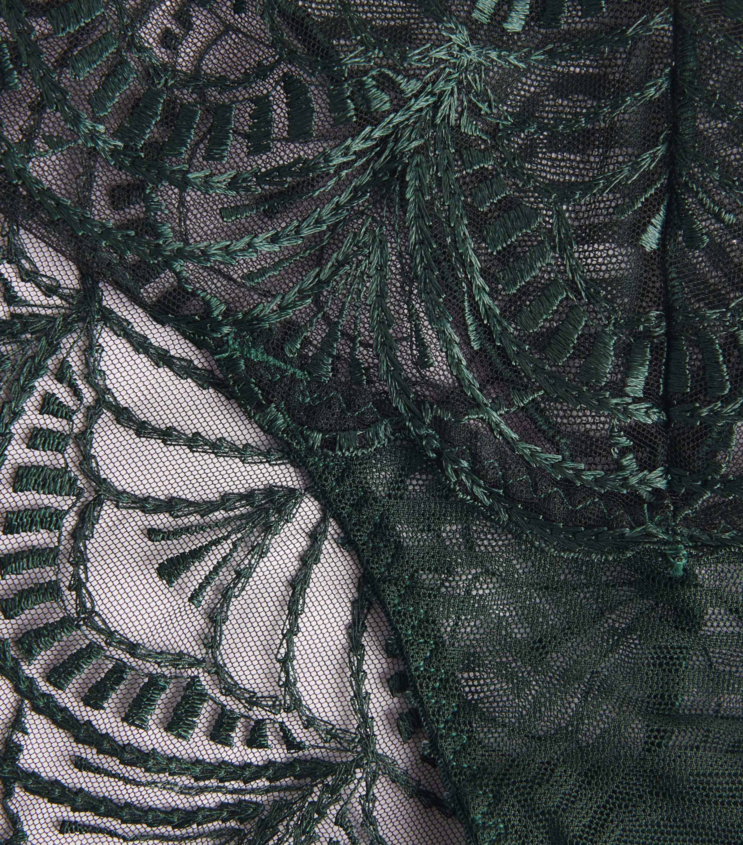 Aubade Womens Vibes Italian Briefs Mysterious Green Image 4