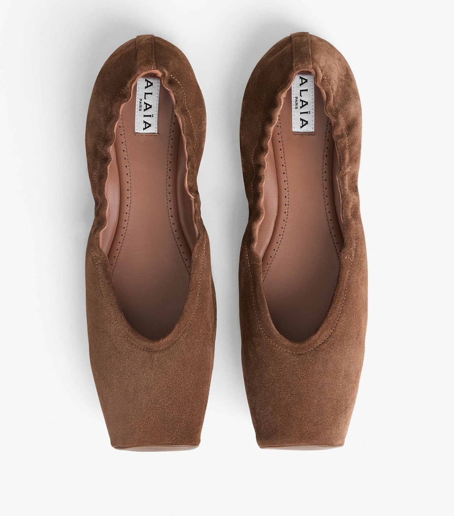 Suede Pointe Ballet Pumps TERRE D'OMBRE Image 4