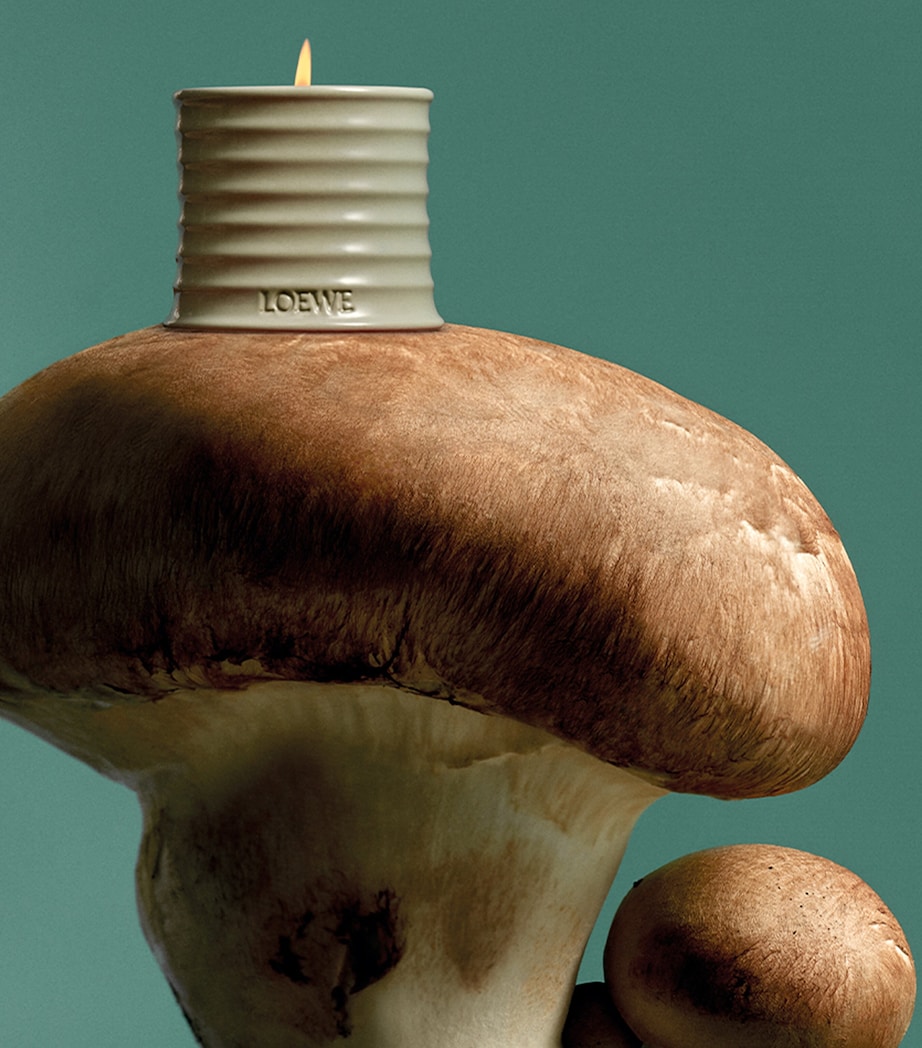 Large Mushroom Scented Candle NO COLOUR Image 3