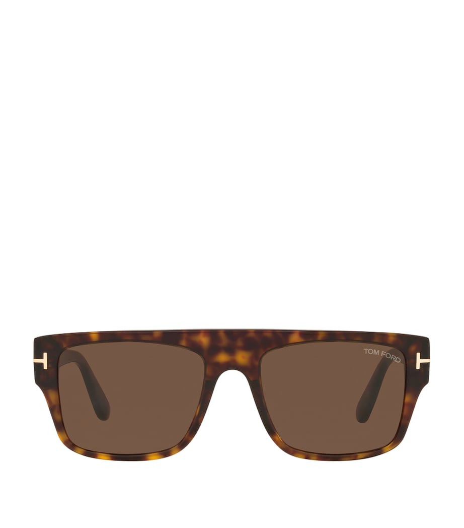 Tortoiseshell Dunning Sunglasses 4402D1 Image 1