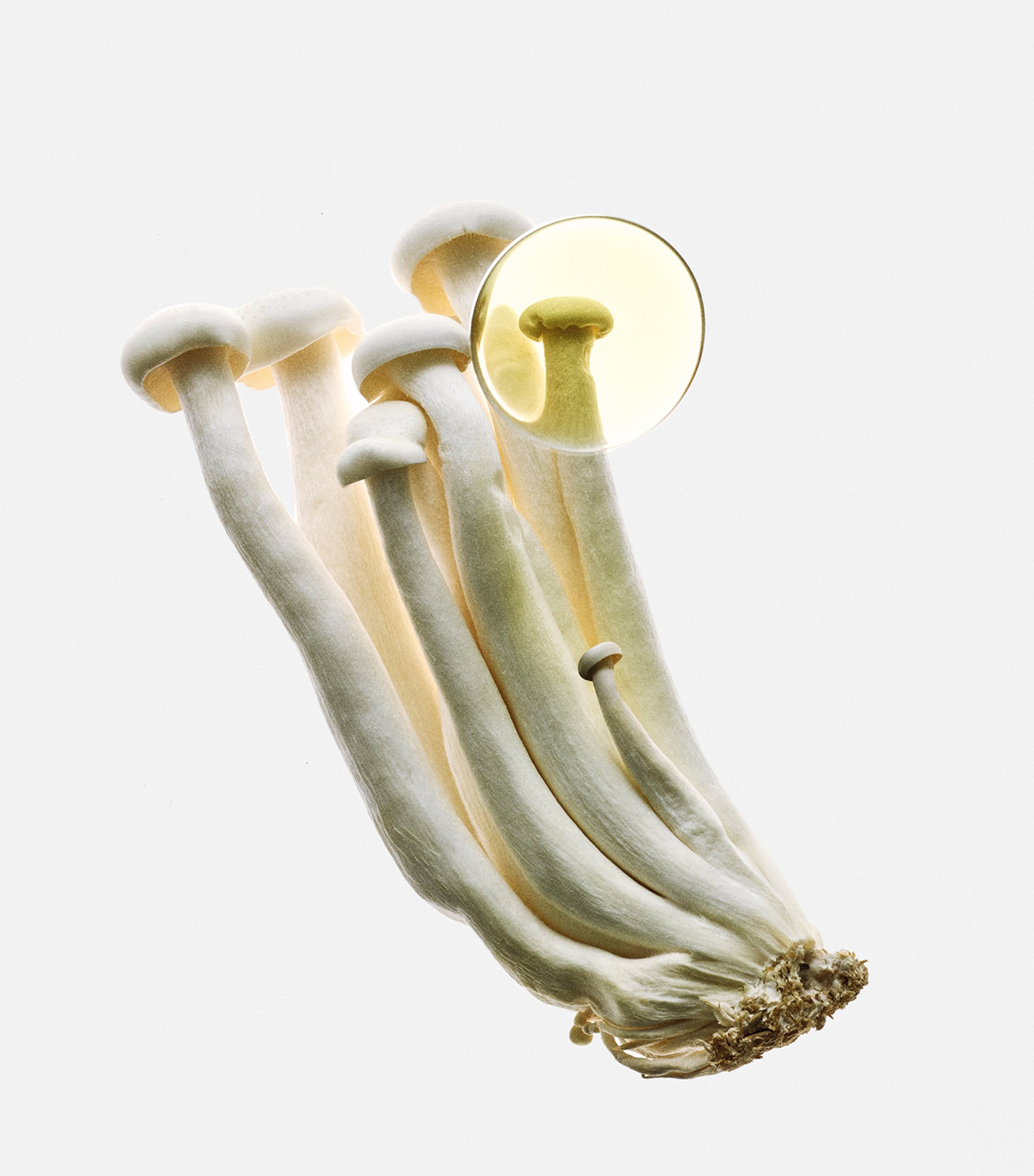 LOEWE Earth Elixir Eau de Parfum (100ml) | Harrods US