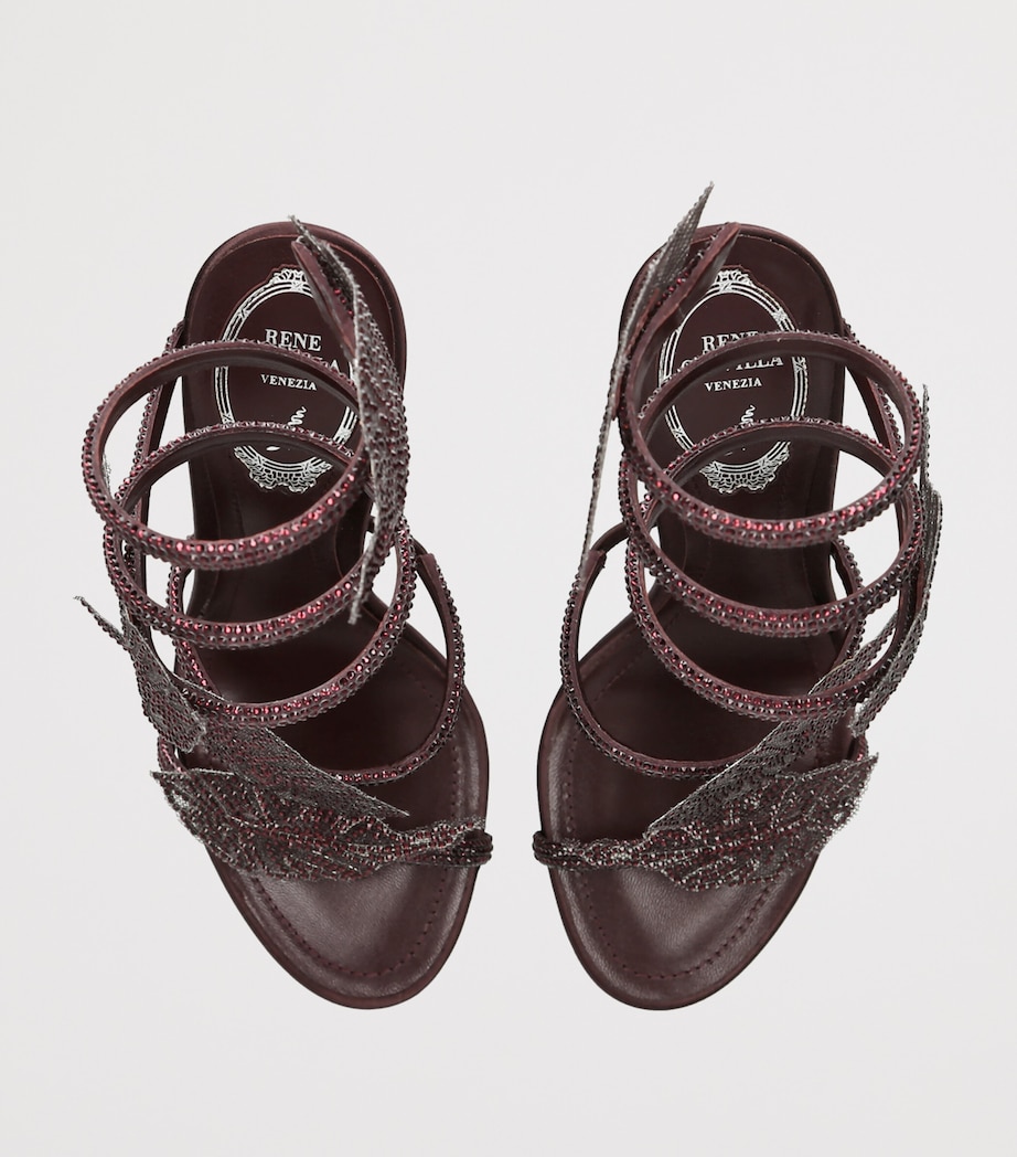 René Caovilla Embellished Cleo Sandals 105 Wine Image 4