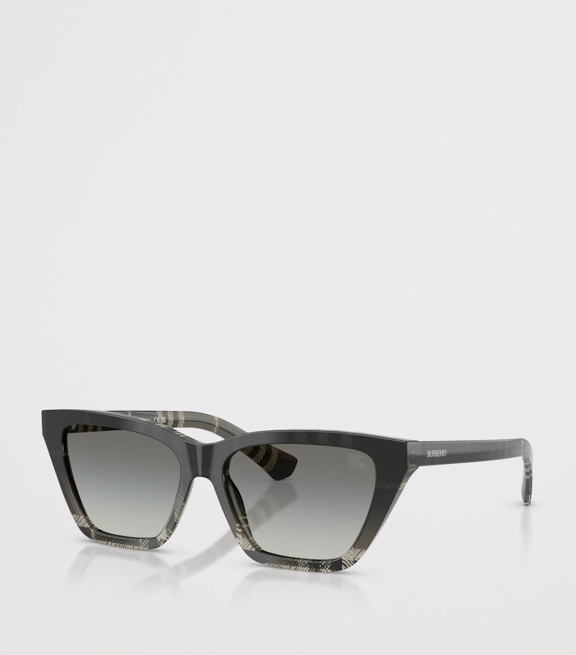 Acetate Cat Eye Sunglasses 420011 Image 2