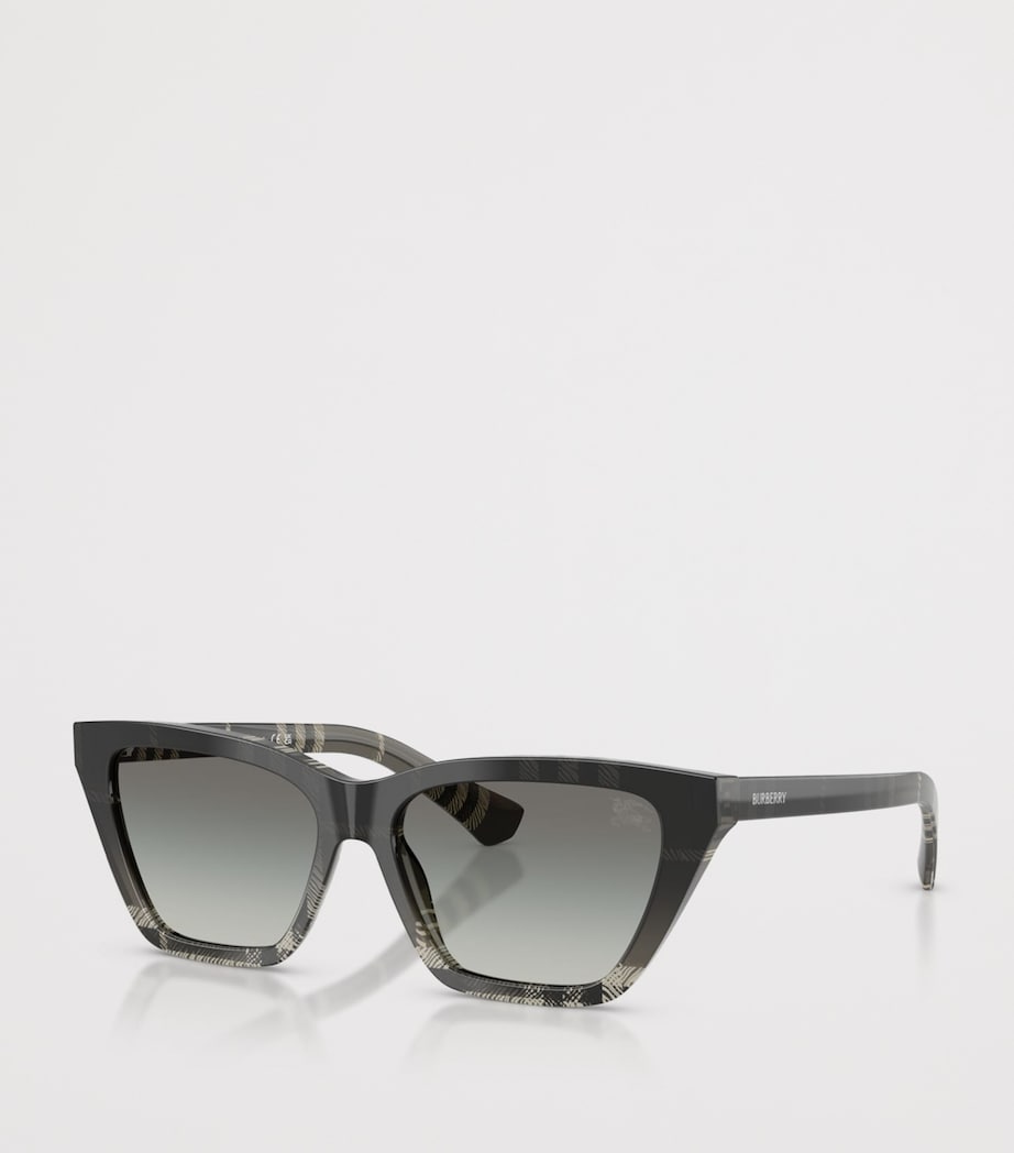 Acetate Cat Eye Sunglasses 420011 Image 2