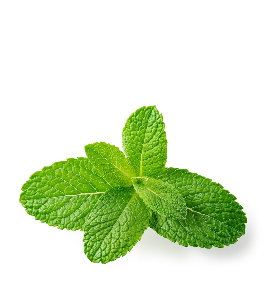 Vital Contour Cream (15ml) NO COLOUR Image 6