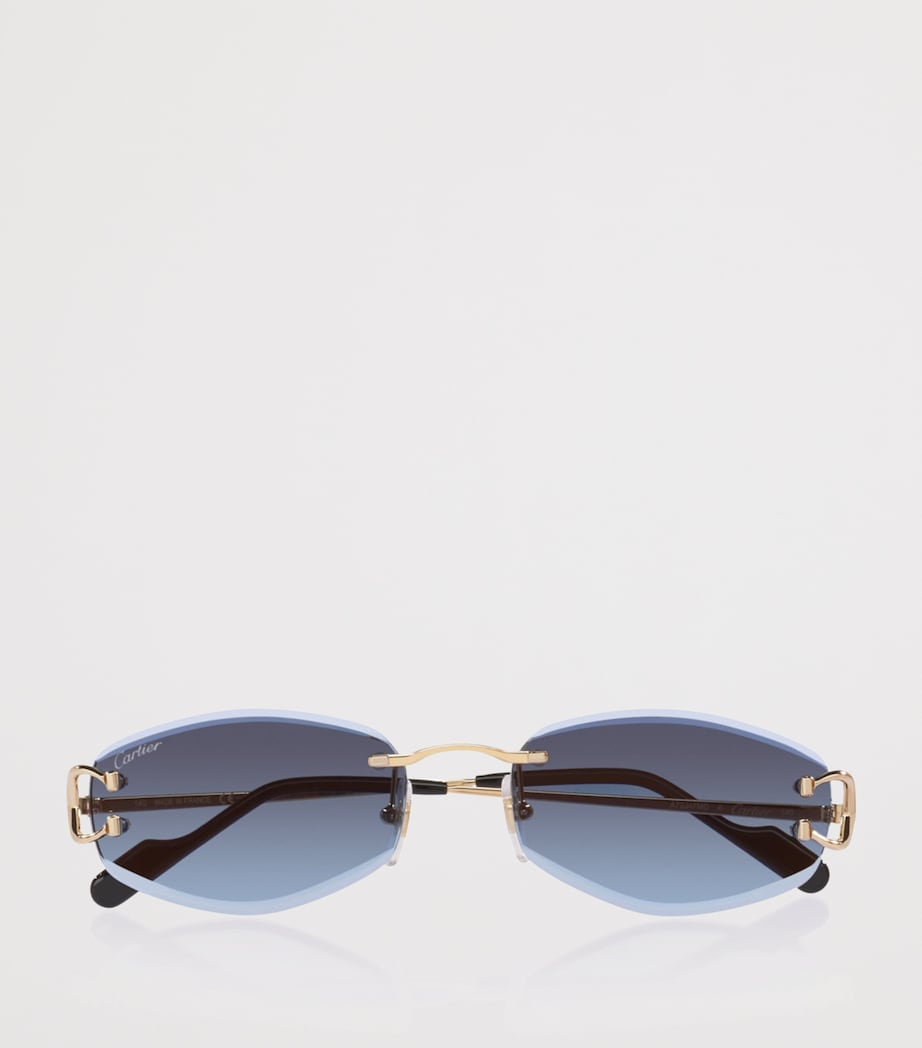 Cartier CT0467S Irregular Sunglasses Image 5
