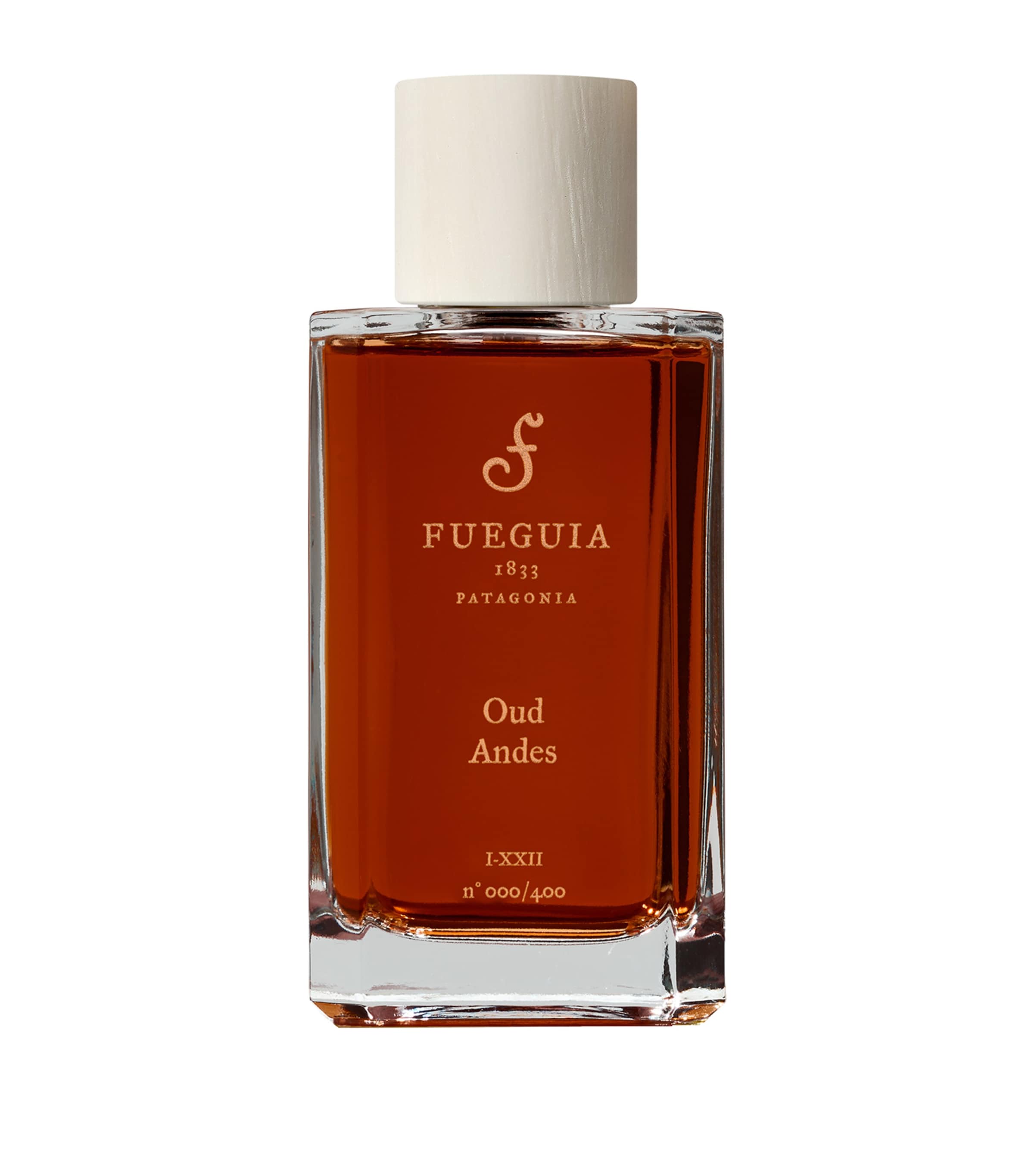 Fueguia 1833 Oud Andes Perfume (100ml) Image 1