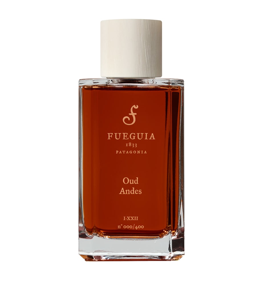 Fueguia 1833 Oud Andes Perfume (100ml) Image 1