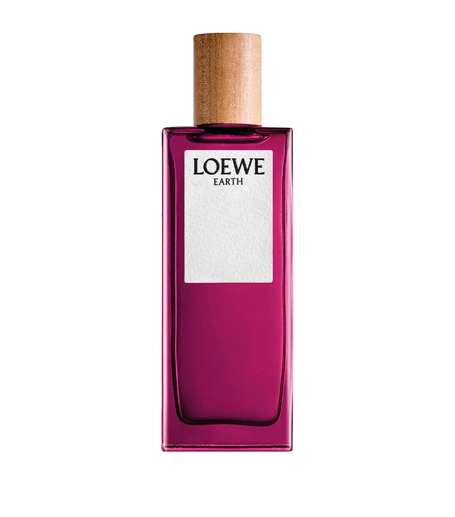 Earth Eau de Parfum (50ml) NO COLOUR Image 1