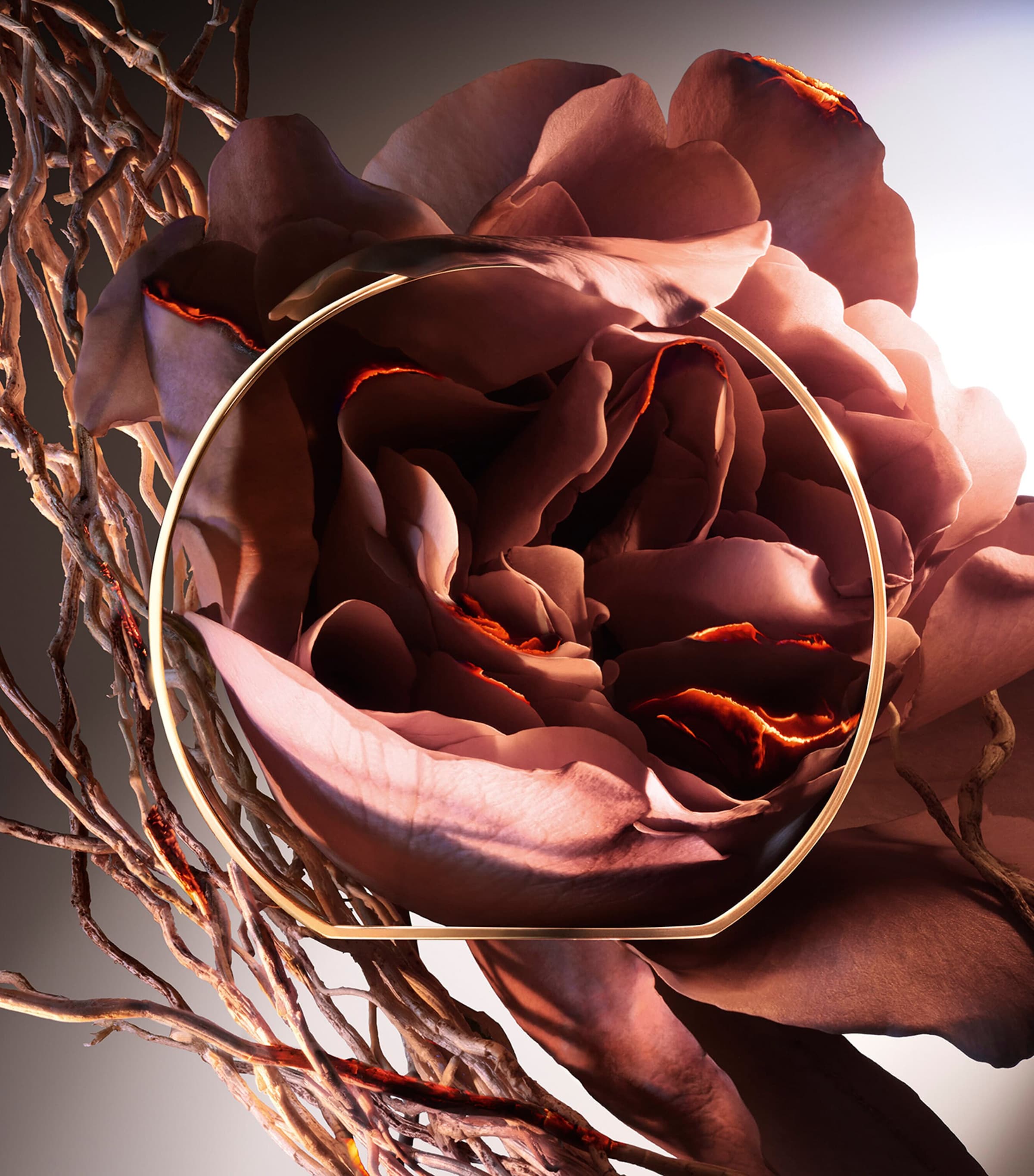 Absolue Hell Of A Rose Eau de Parfum (100ml) NO COLOUR Image 4