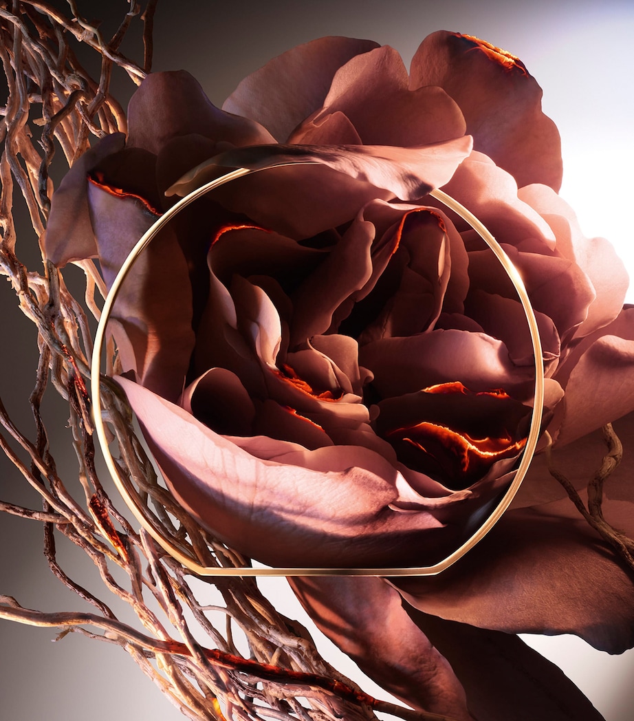 Absolue Hell Of A Rose Eau de Parfum (100ml) NO COLOUR Image 4