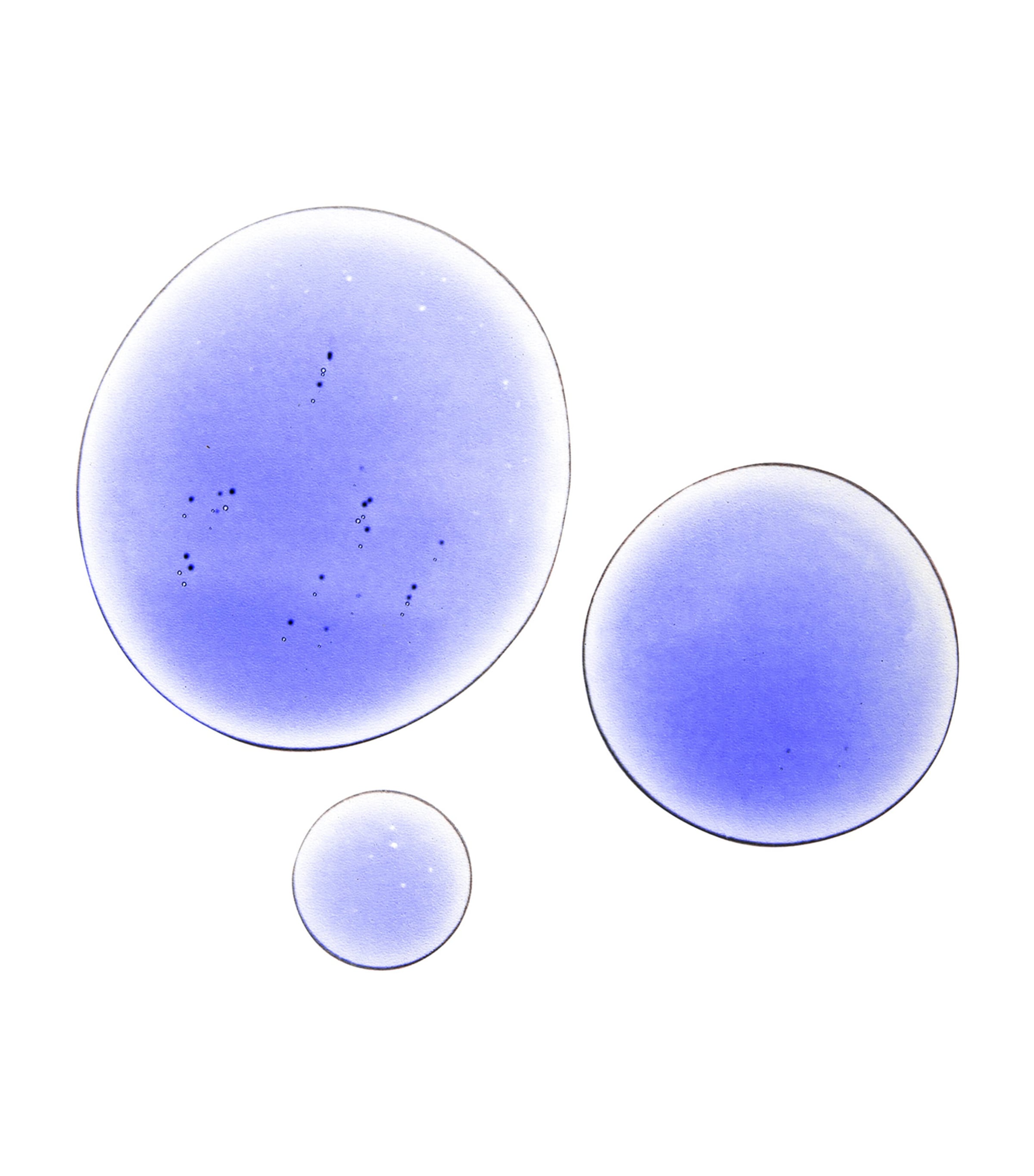 Niod Copper Amino Isolate Serum 3 1:1 (30ml) Image 3