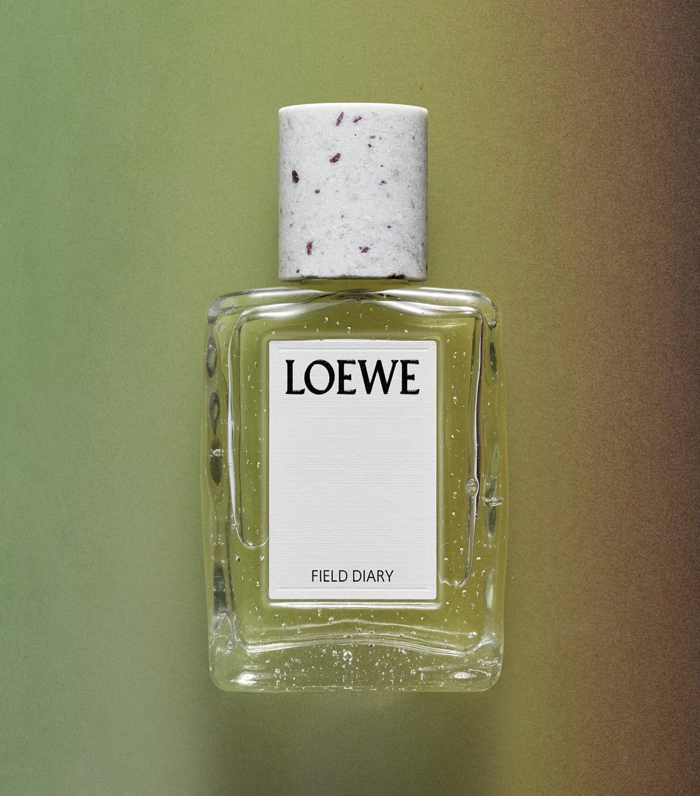 LOEWE Perfumes Field Diary Eau de Parfum (100ml) Image 4