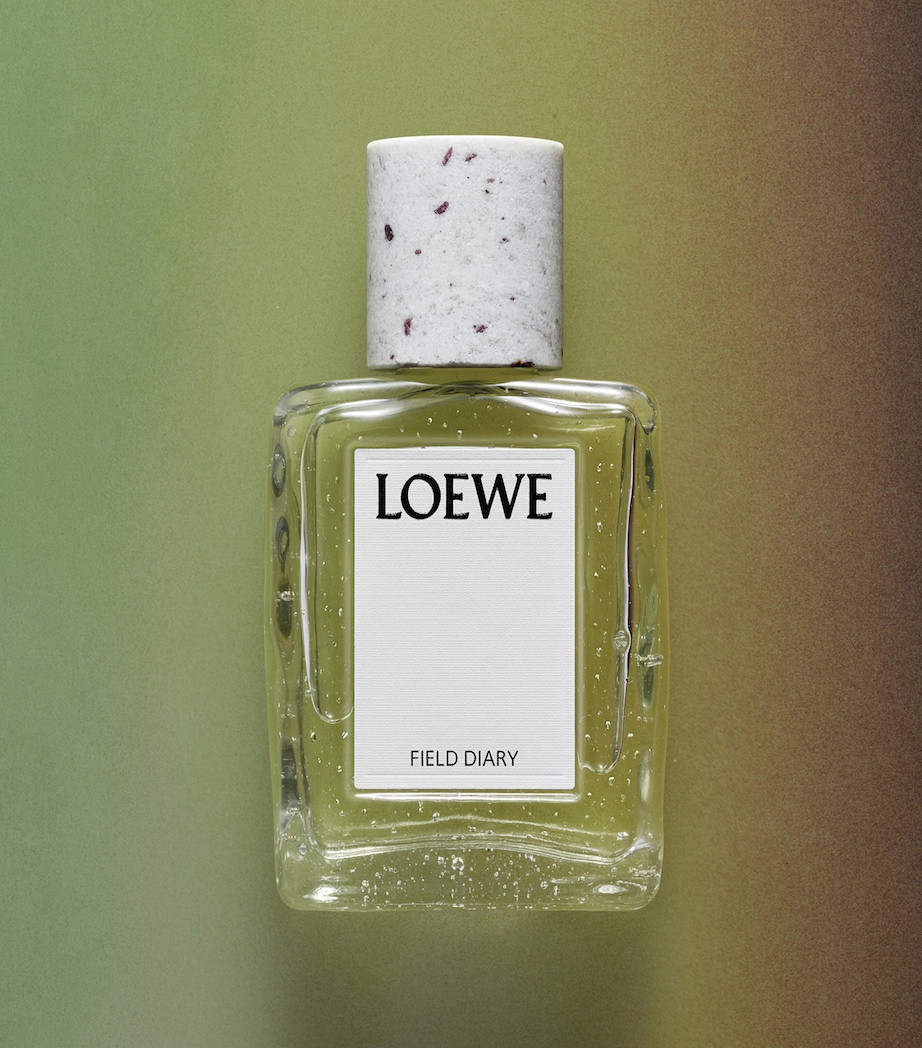 LOEWE Perfumes Field Diary Eau de Parfum (100ml) Image 4