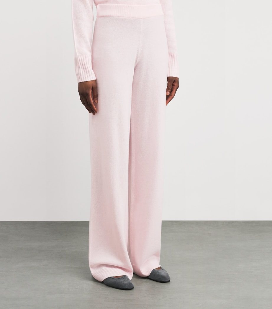 Virgin Wool-Cashmere Straight Trousers 60/60 PINK Image 3