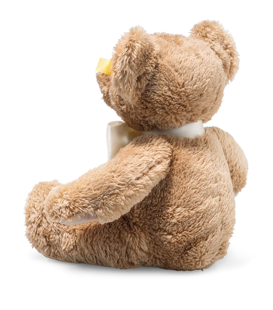 Cosy Year Bear 2025 (34cm) MULTI Image 2