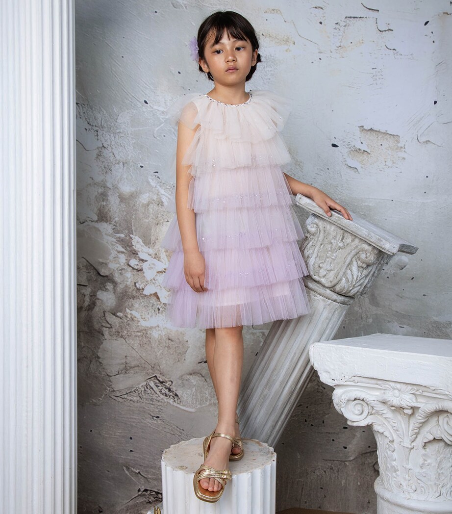 Tutu Du Monde Tulle Josette Dress (12-14 Years) Tattered Sail Mix Image 2