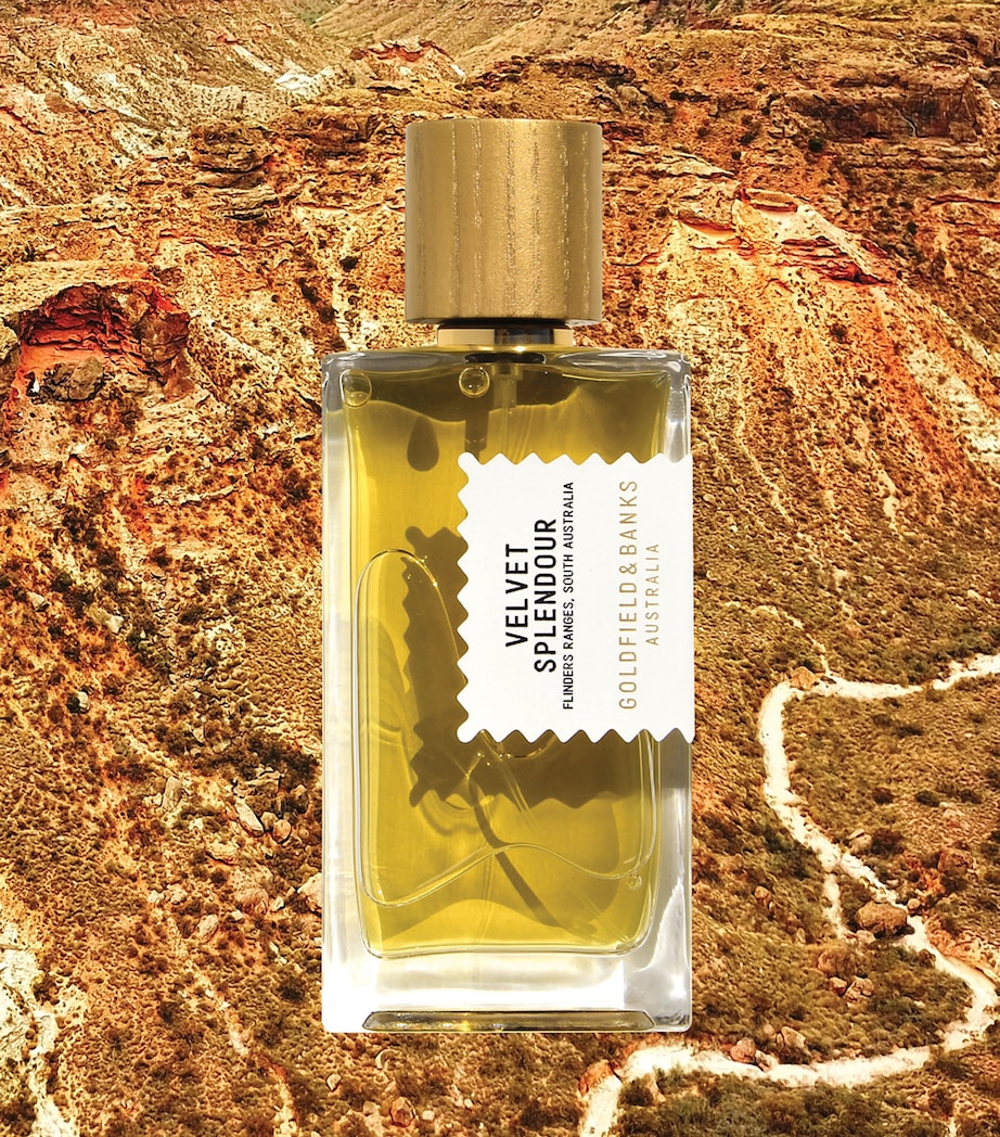 Velvet Splendour Pure Perfume (100ml) NO COLOUR Image 3