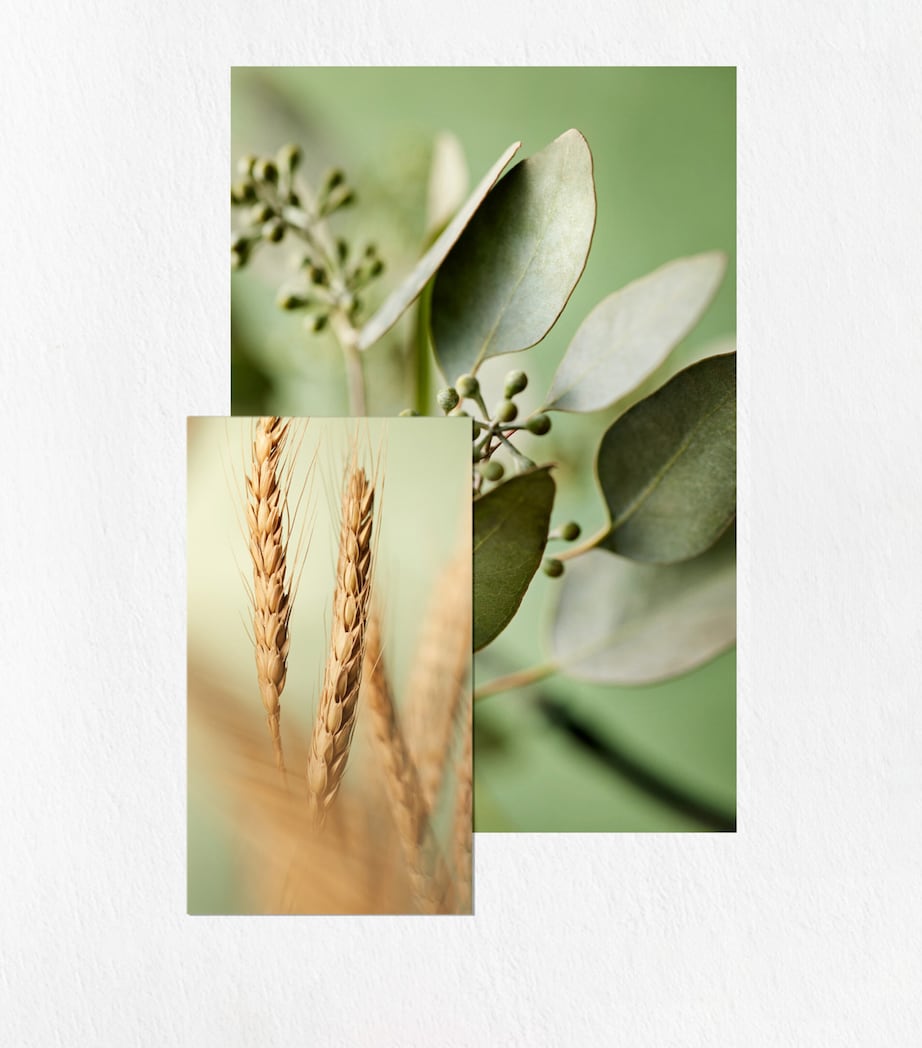 Hydrate Sheer Conditioner Hair Conditioner (266ml) NO COLOUR Image 3