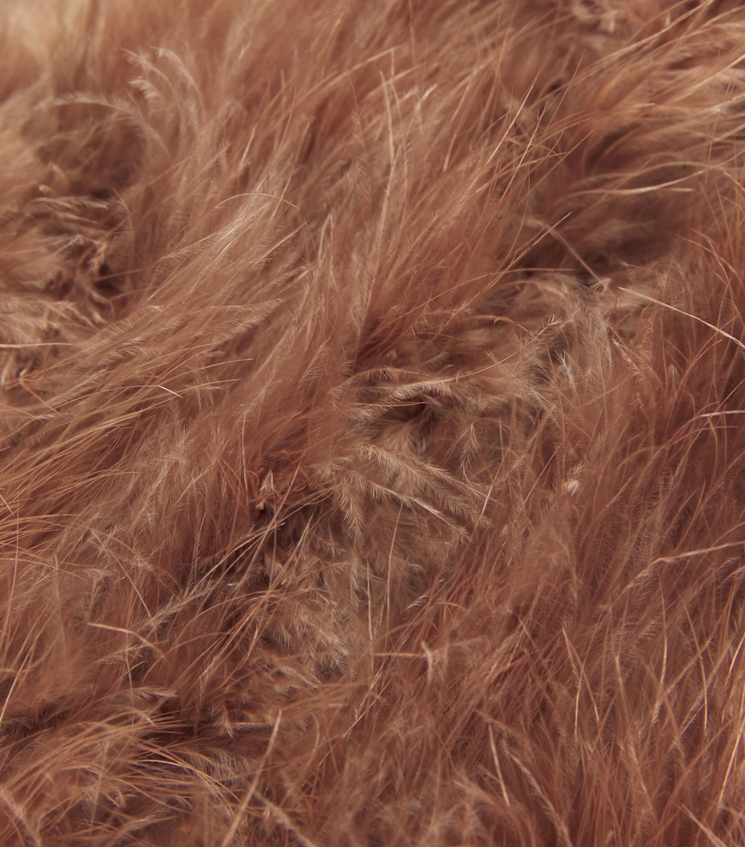 Yves Salomon Womens Feather Cropped Jacket Image 6