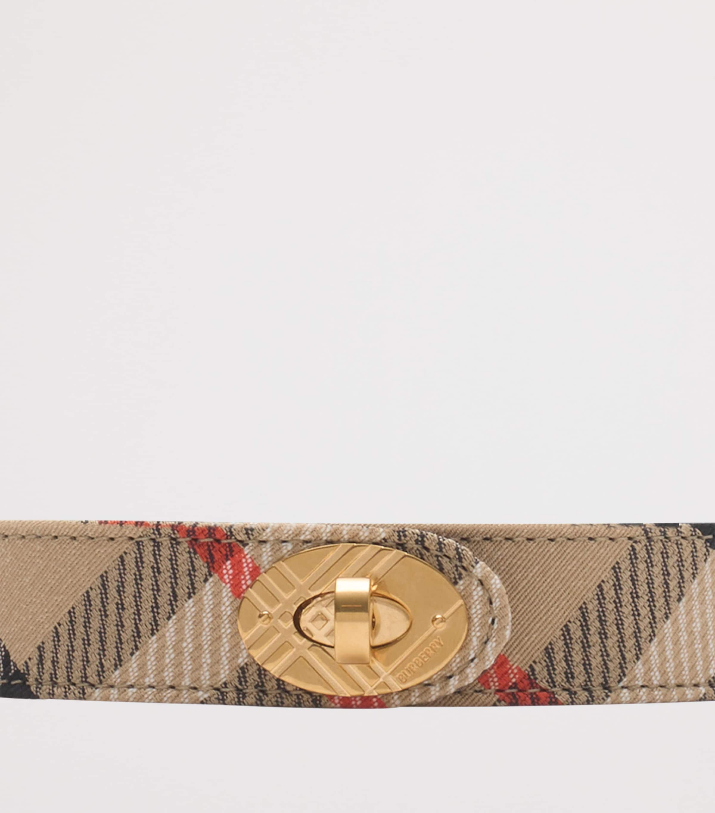 Check Costwolds Belt SAND Image 2