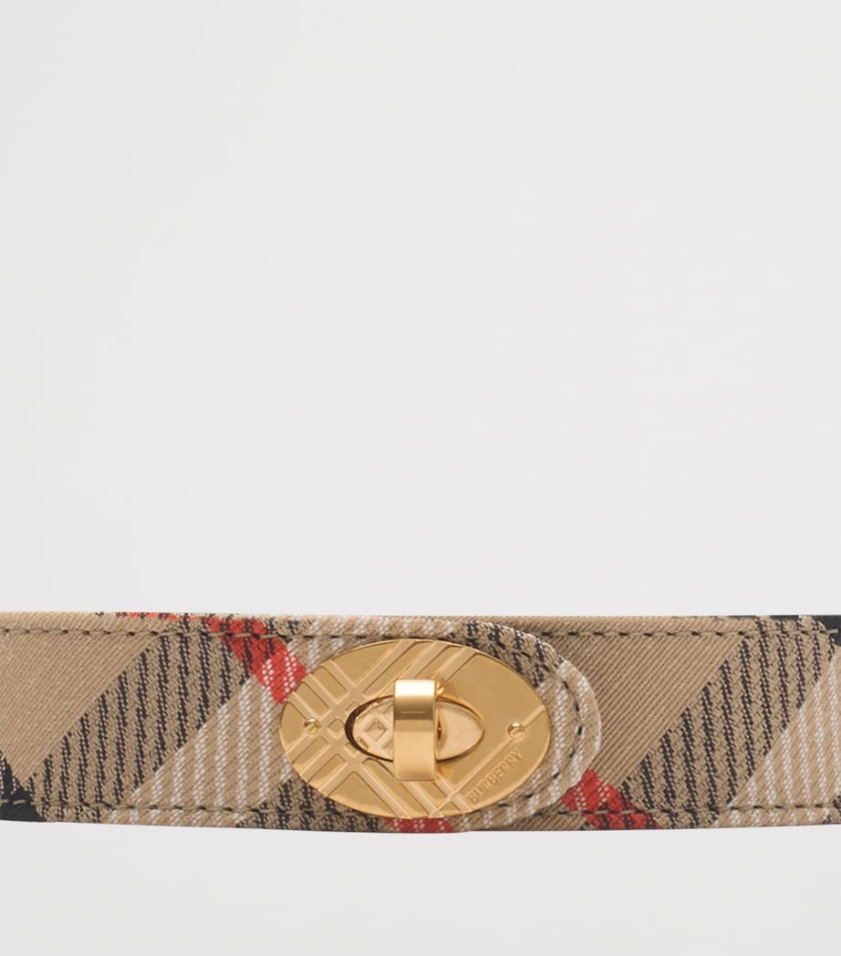 Check Costwolds Belt SAND Image 2