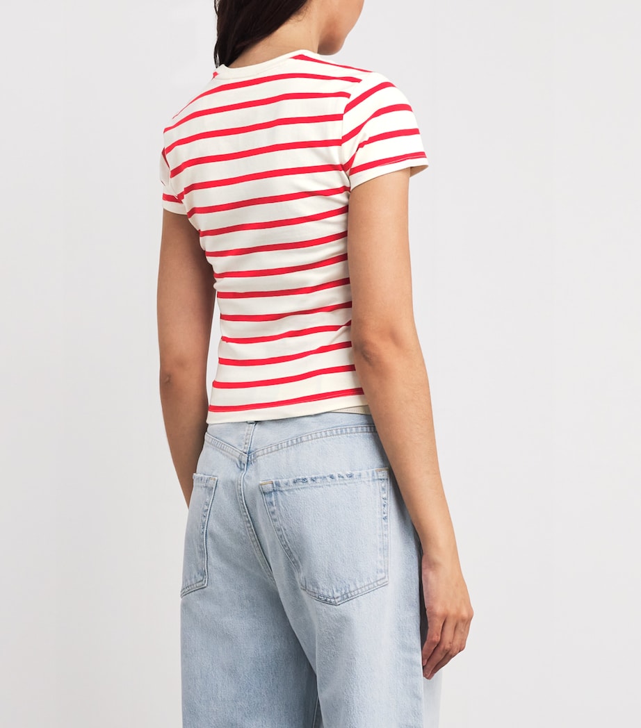 Super-Stretch Baby T-Shirt ECRU & CHILI STRIPE Image 4