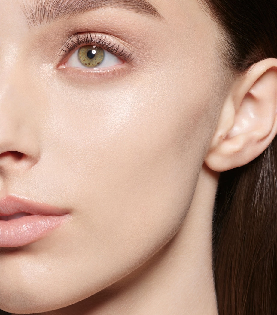 Skin Fetish: Sublime Perfection Concealer L5 Image 3