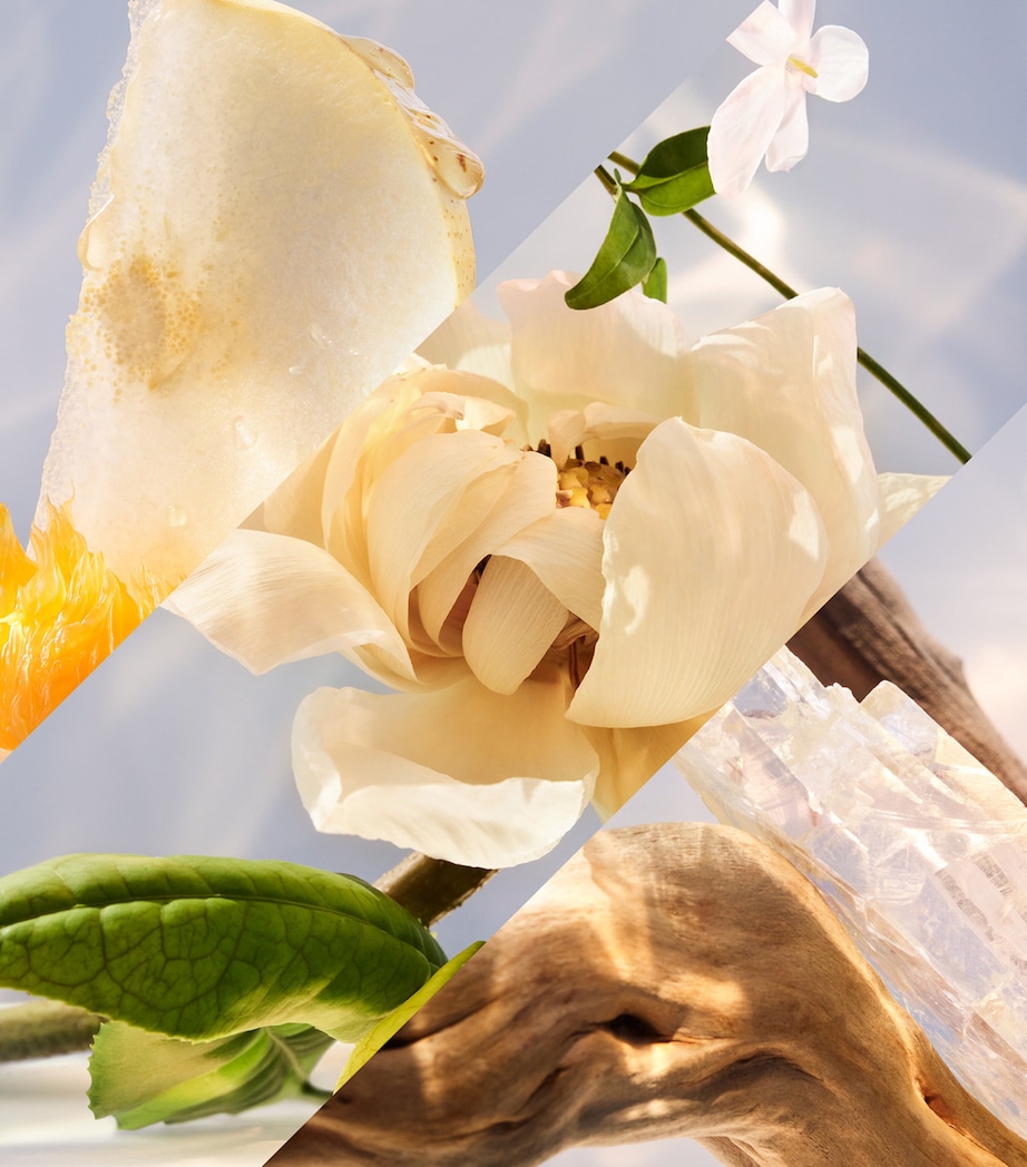 Omnia Crystalline Eau de Parfum (50ml) NO COLOUR Image 2