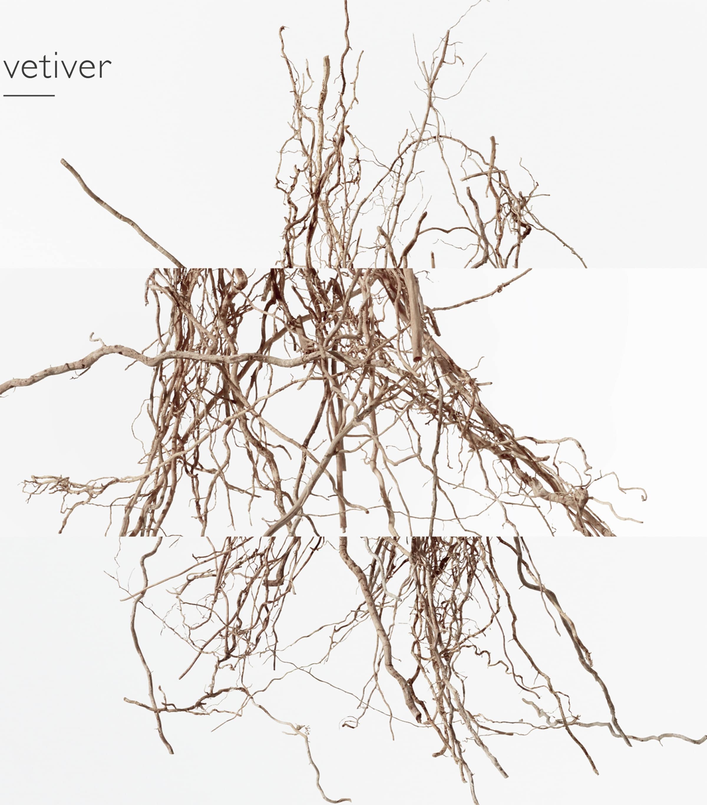 Terre D'Hermès Eau Intense Vétiver Eau de Parfum (100ml) NO COLOUR Image 1