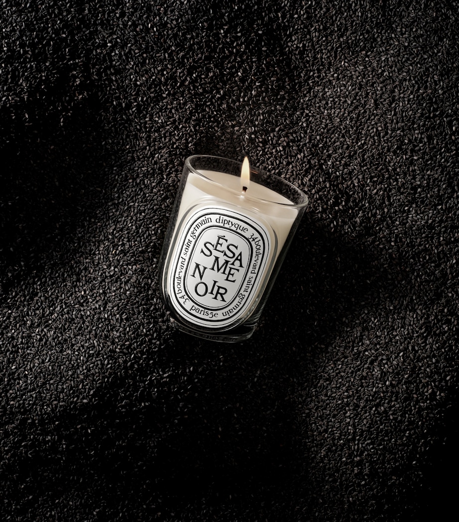 Diptyque Sesame Noir Candle (190g) Image 2
