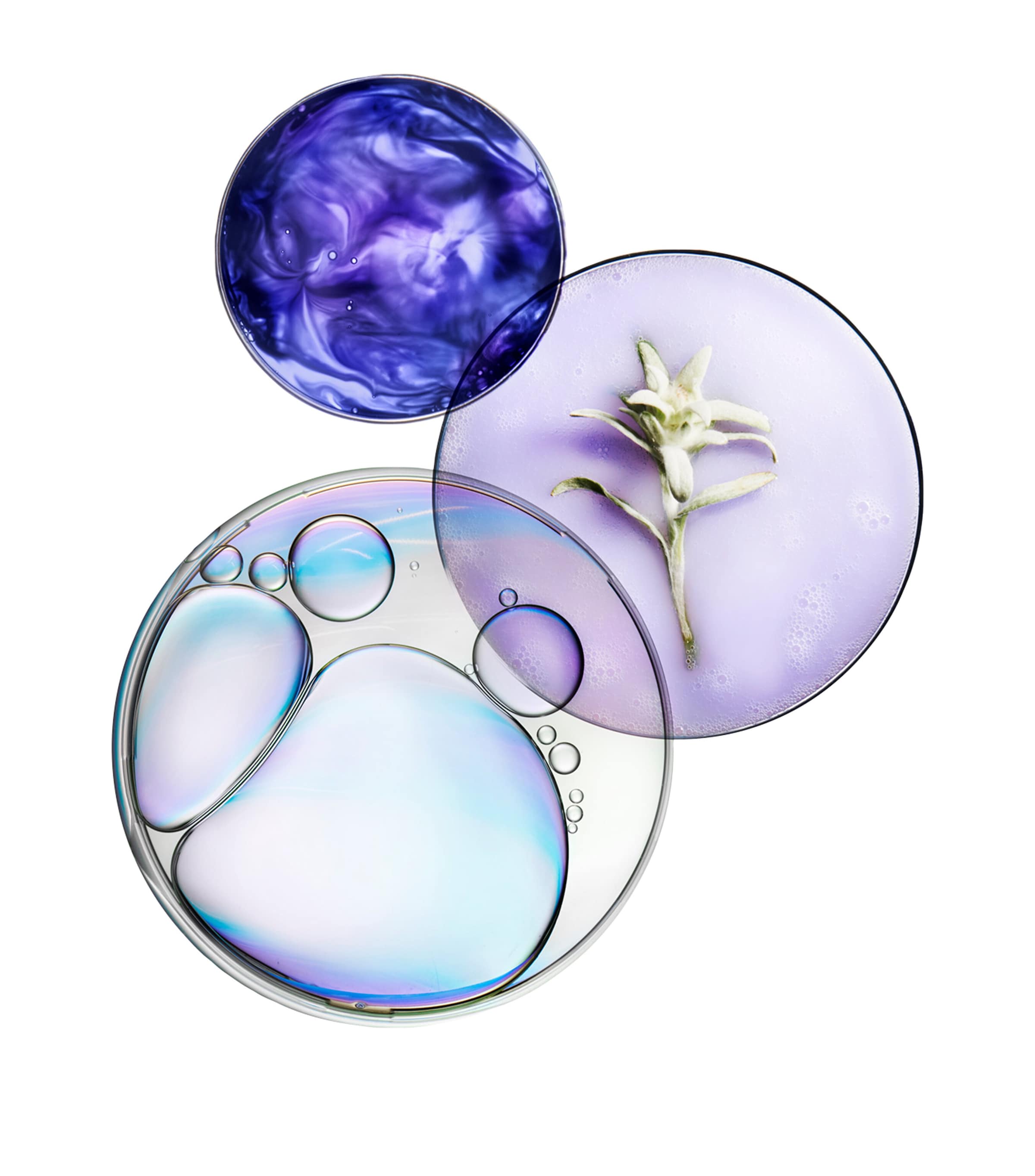 Blond Absolu 2% Pure Hyaluronic Acid Serum (50ml) NO COLOUR Image 8