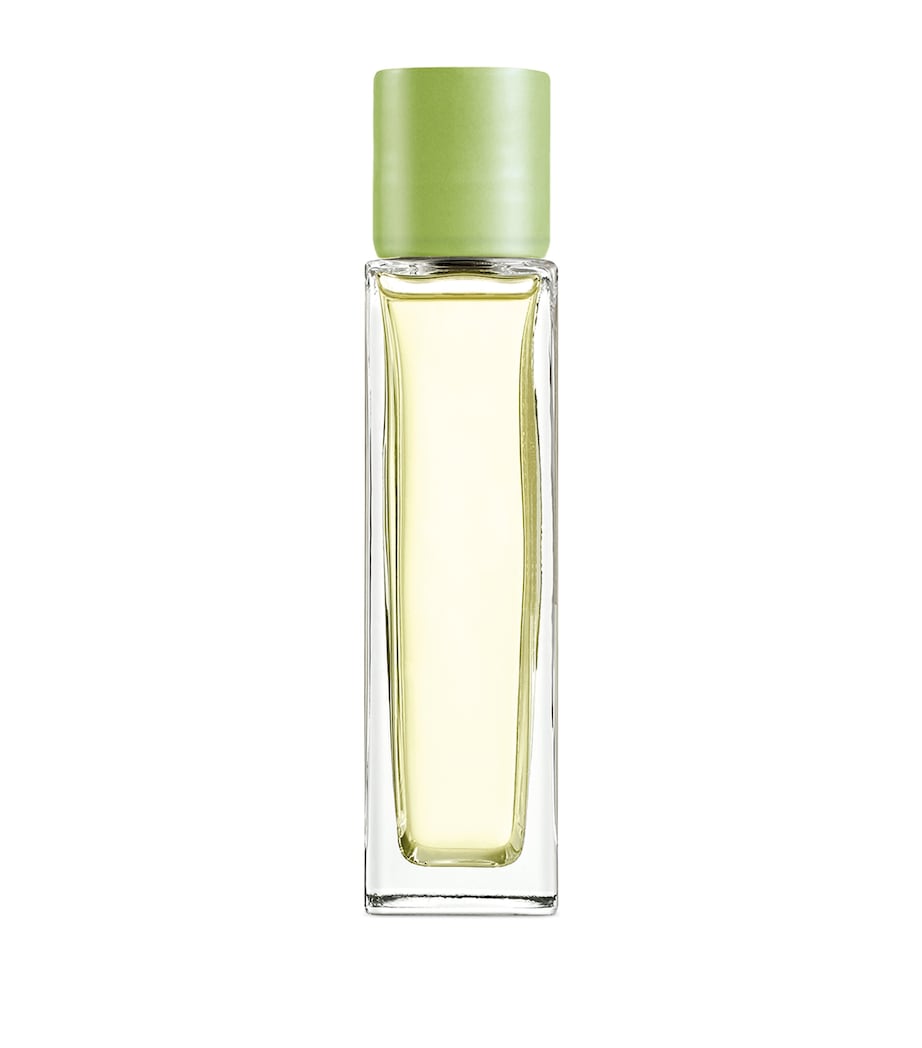 Cucumber Room Spray (150ml) NO COLOUR Image 5