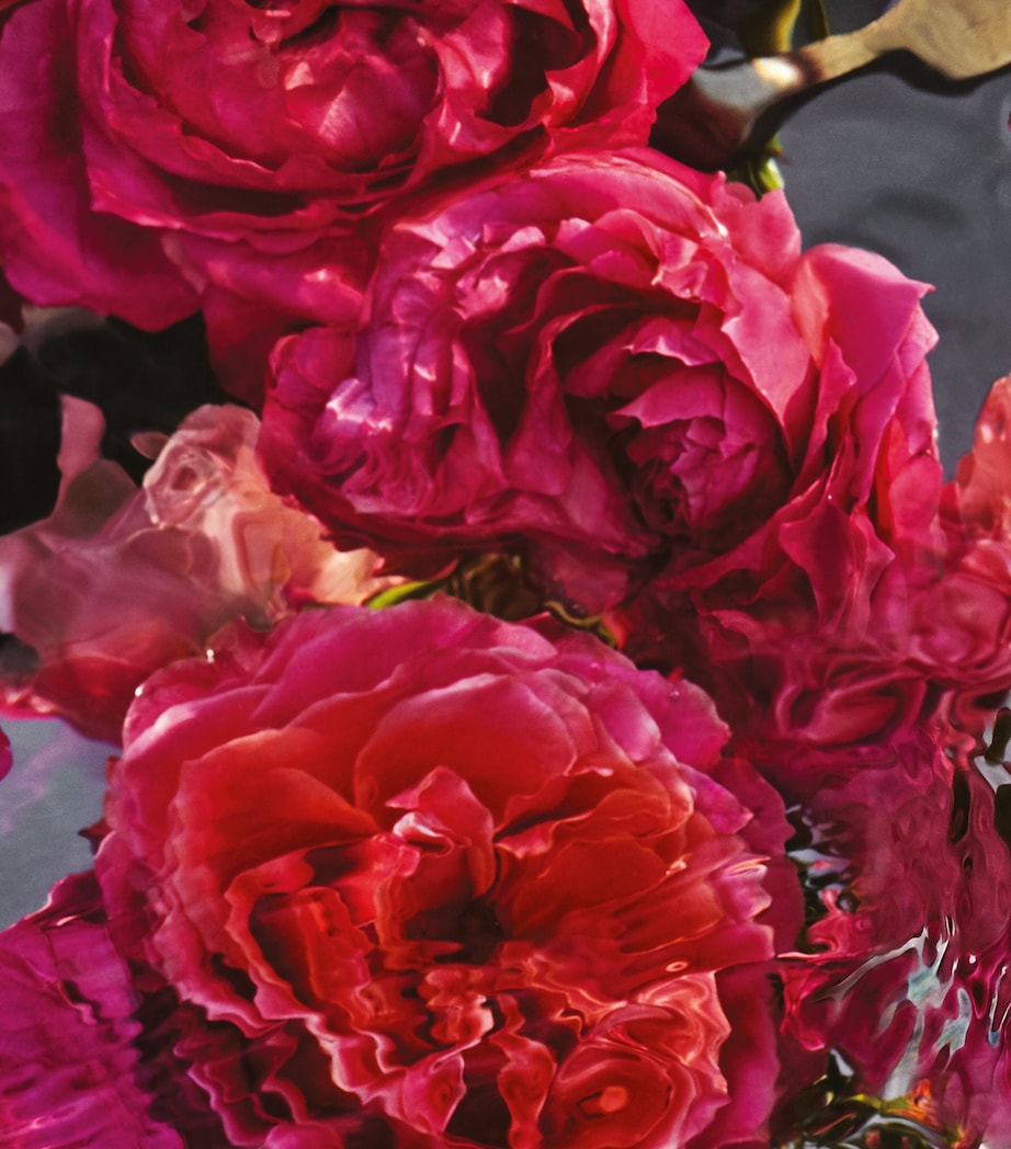 Guerlain Aqua Allegoria Forte Rosa Rossa Eau de Parfum (75ml) Image 3
