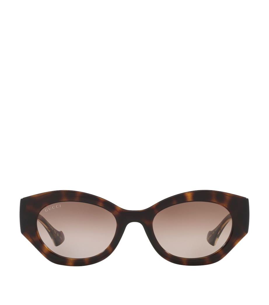 Injected Oval Sunglasses 4402D1 Image 1