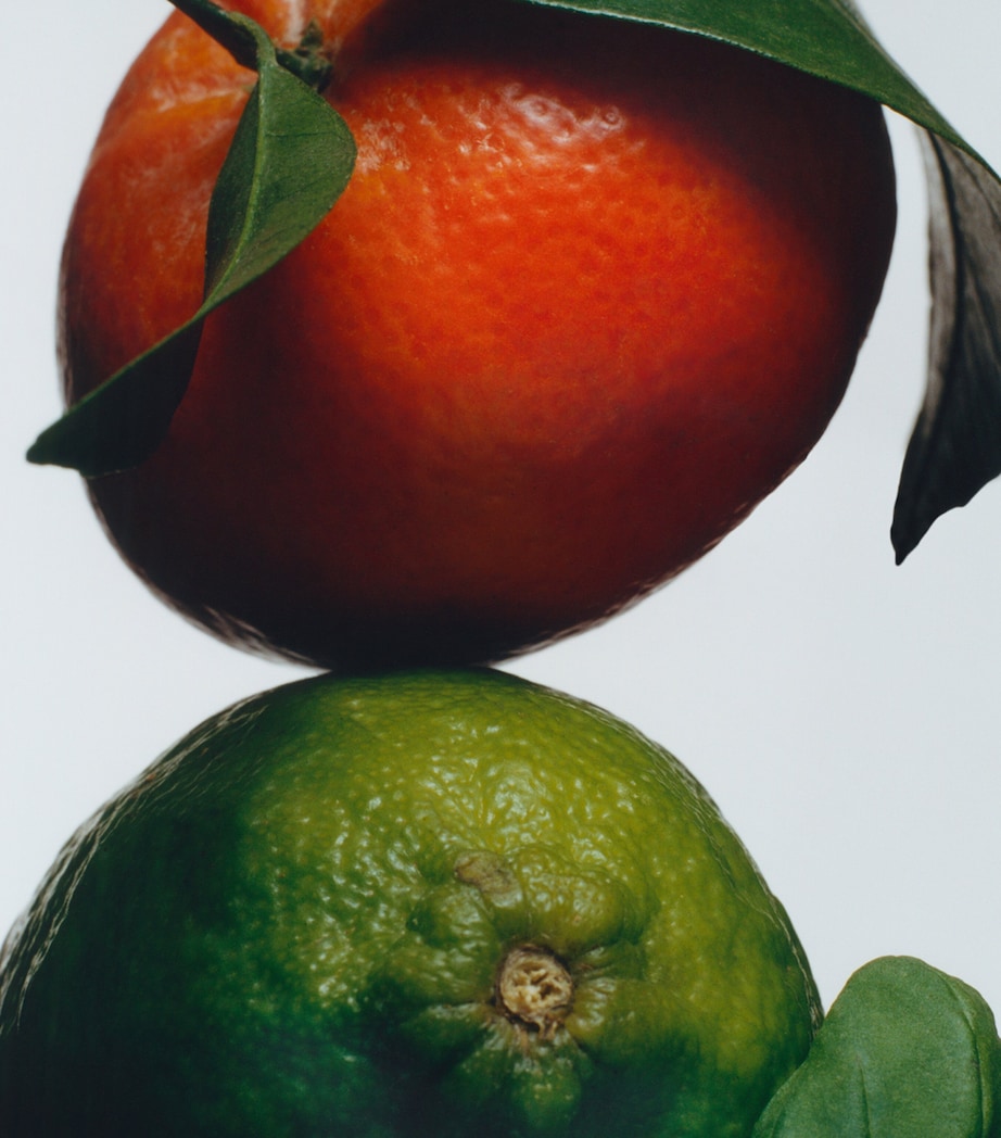 Lime Basil & Mandarin Cologne NO COLOUR Image 3