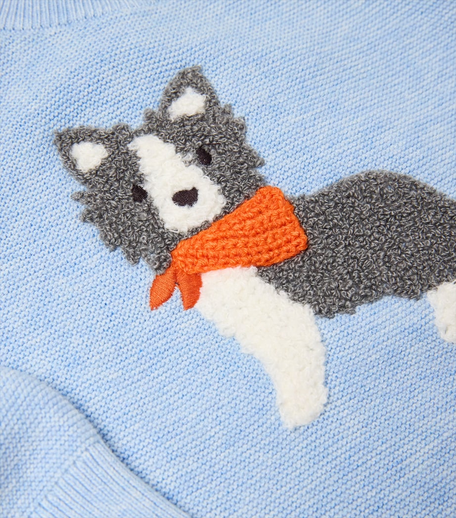 Organic Cotton-Wool Dog Sweater (0-18 Months) COUNTRY AIR MELANGE Image 3