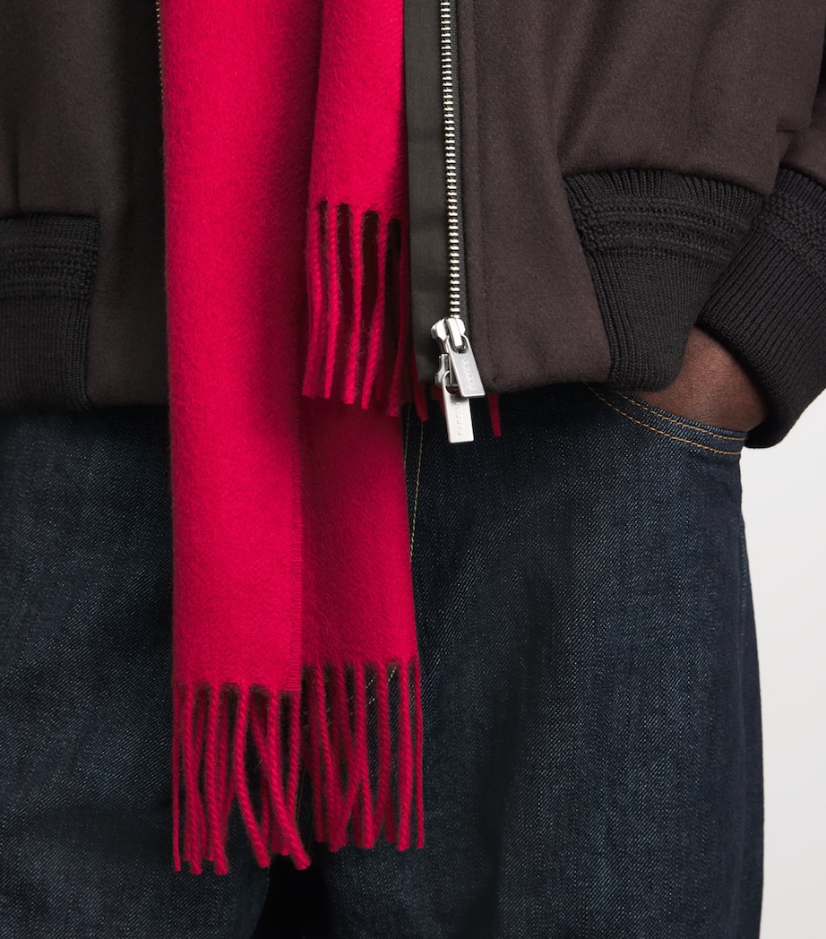Johnstons Of Elgin Natural Cashmere Scarf Claret Image 3
