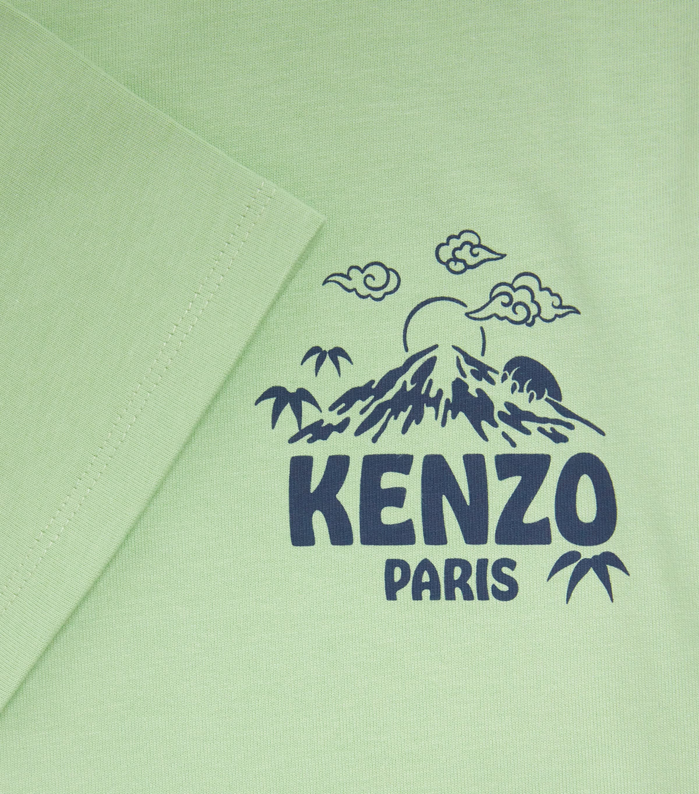 Cotton Fuji Logo T-Shirt (2-14 Years) 61BQUIET GREEN Image 3