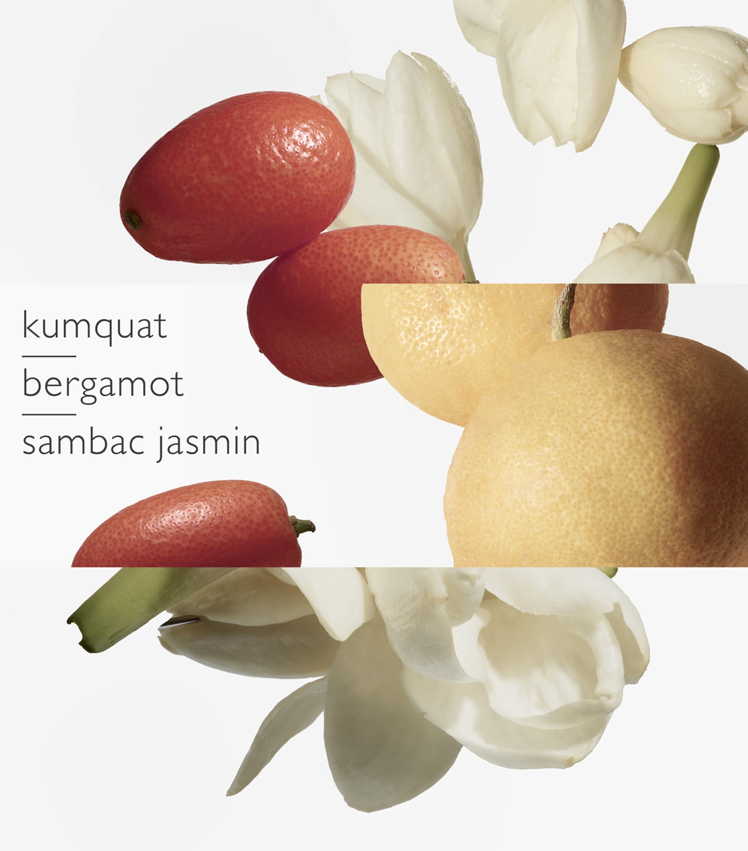 Le Jardin de Monsieur Li Eau de Toilette (100ml) NO COLOUR Image 6