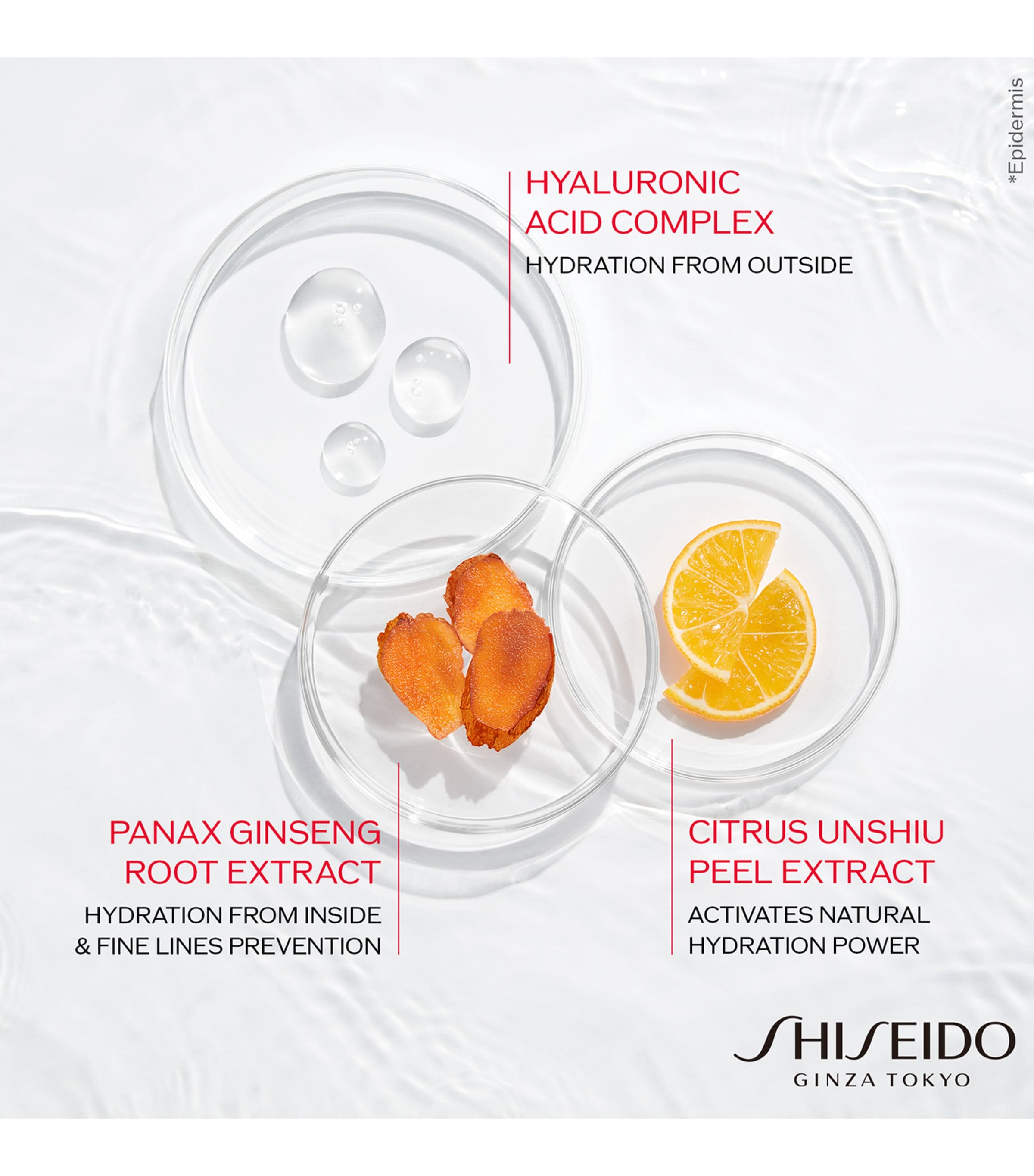 Essential Energy Hydrating Day Cream (50ml) NO COLOUR Image 4