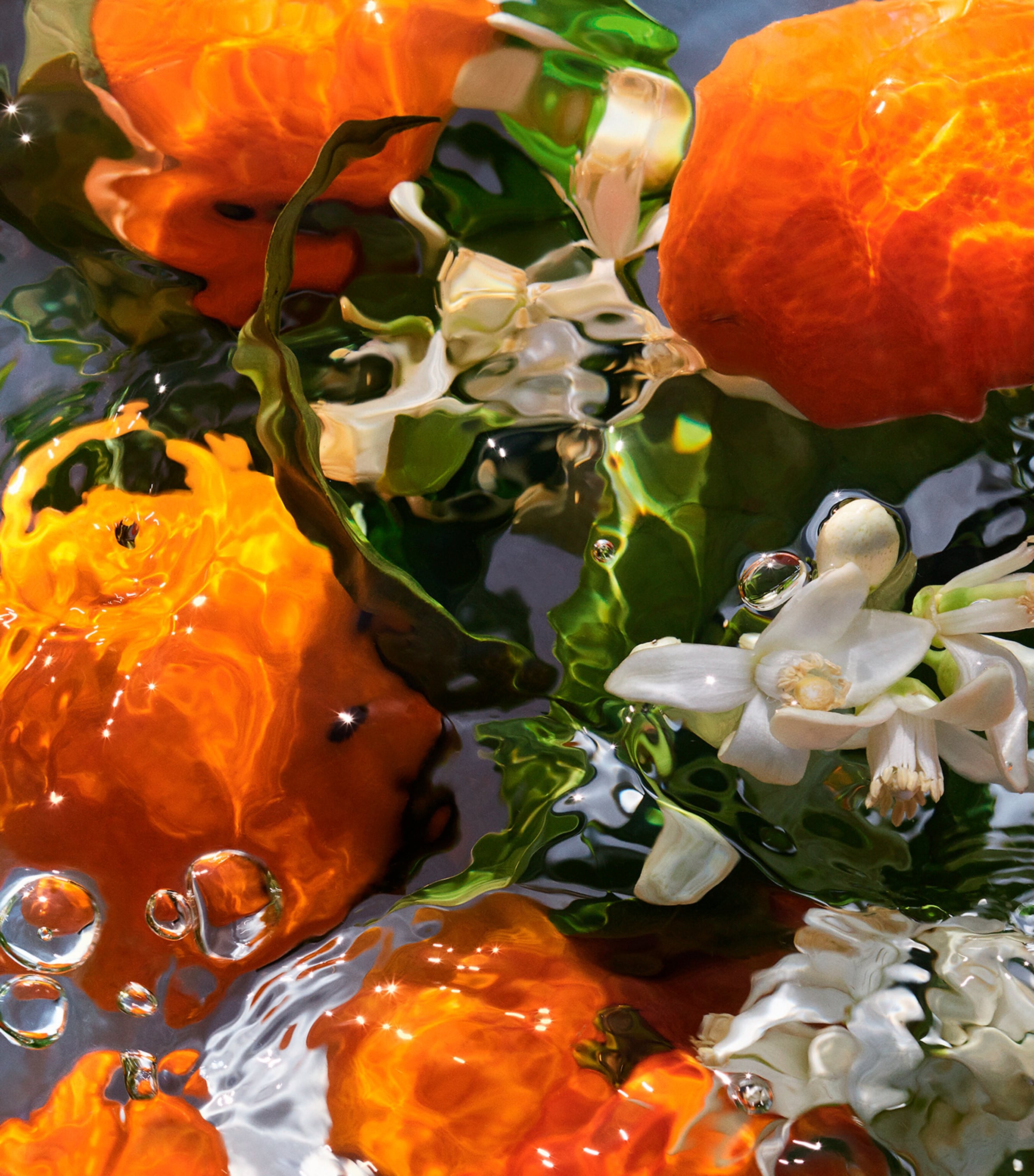 Aqua Allegoria Mandarine Basilic Hand Cream (50ml) NO COLOUR Image 4