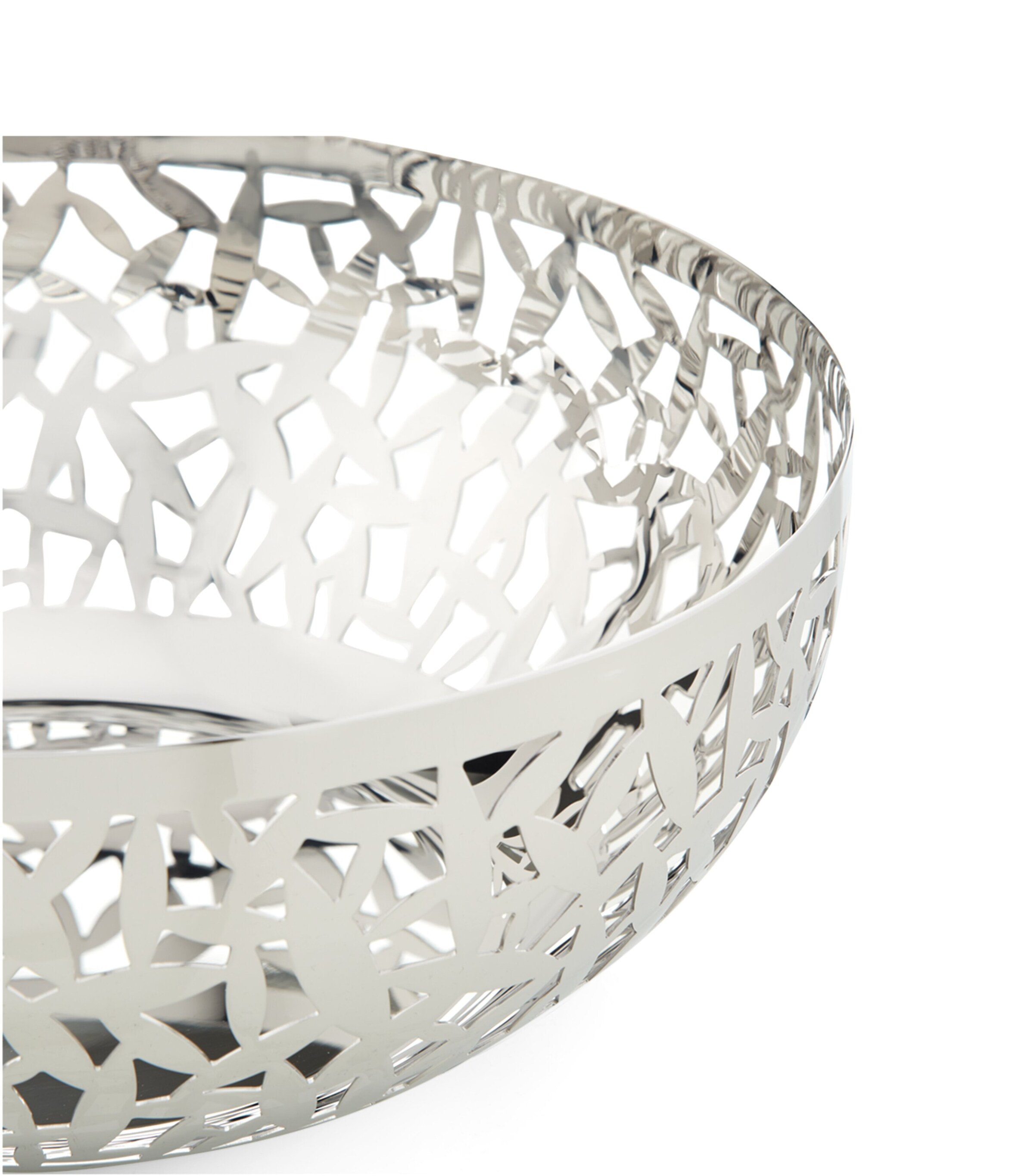 Large Cactus! Fruit Bowl MULTI Image 2