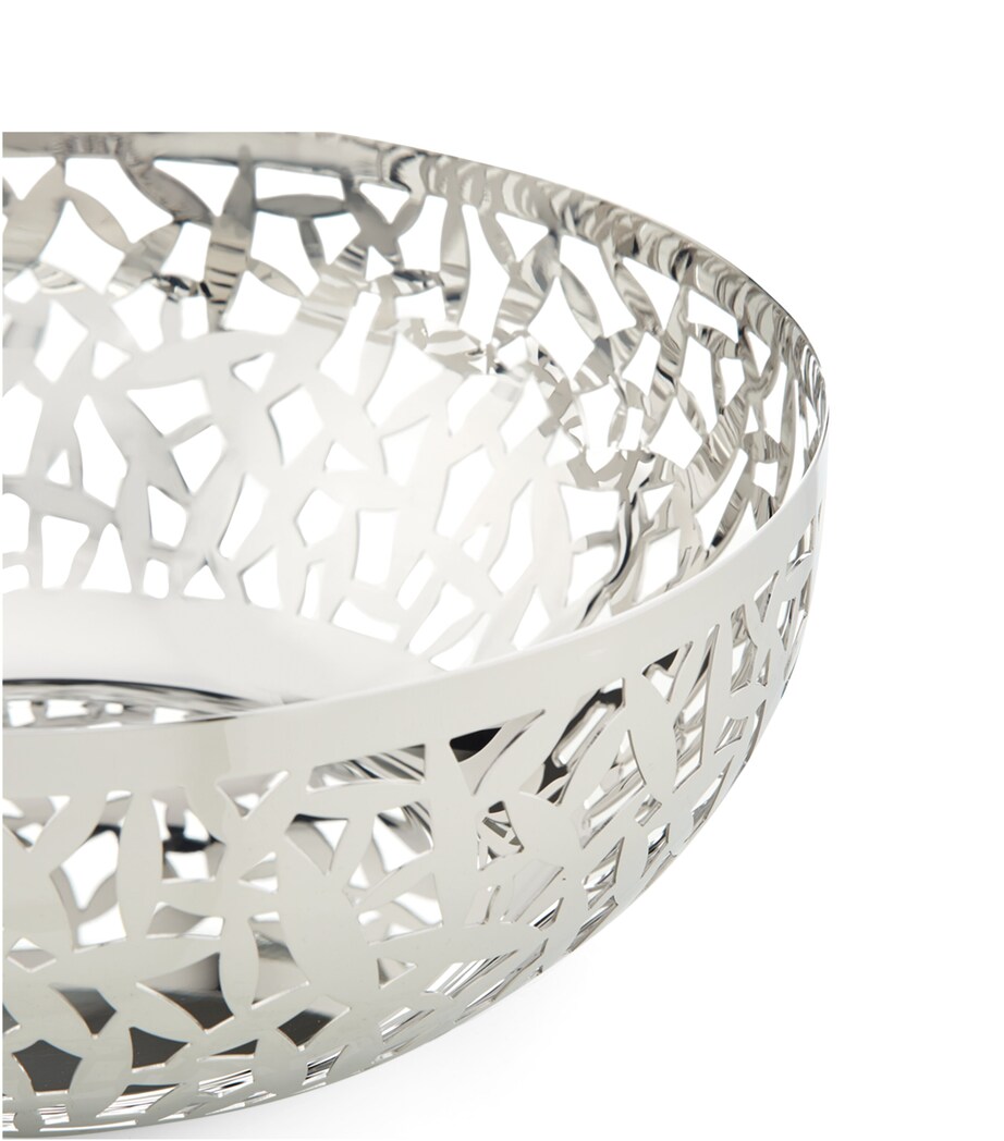 Large Cactus! Fruit Bowl MULTI Image 2